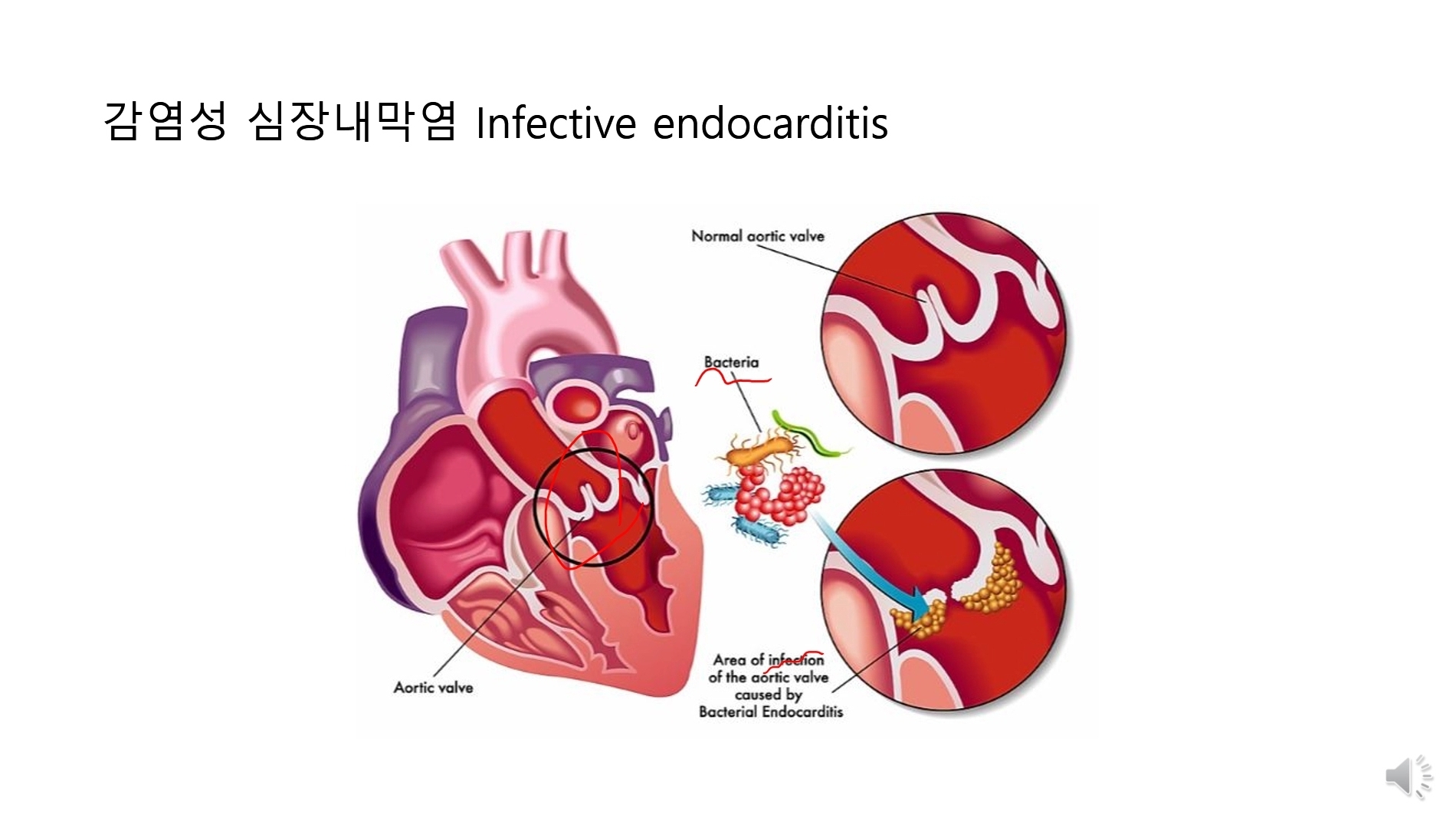 힐링파크 건강만들기