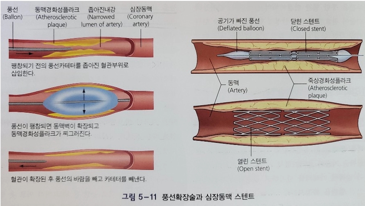 힐링파크 건강만들기