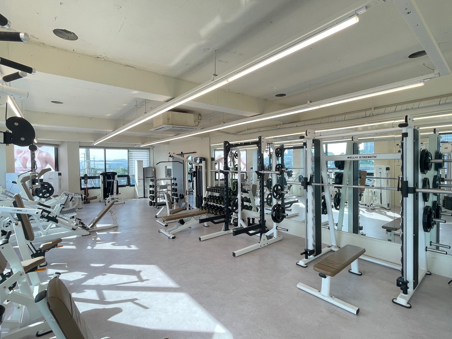 데일리 스포츠 센터 대표 이미지