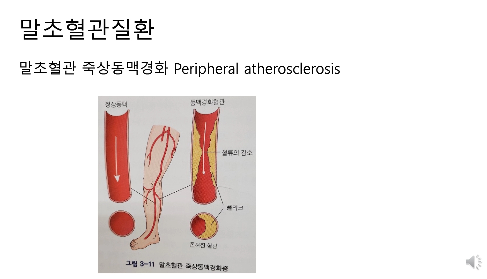 힐링파크 건강만들기