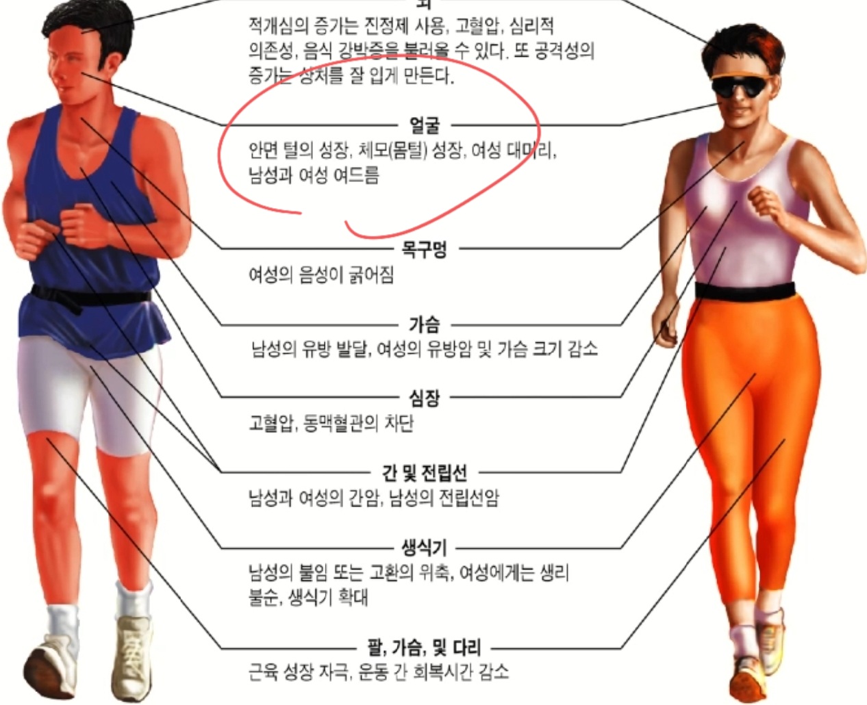 힐링파크 건강만들기