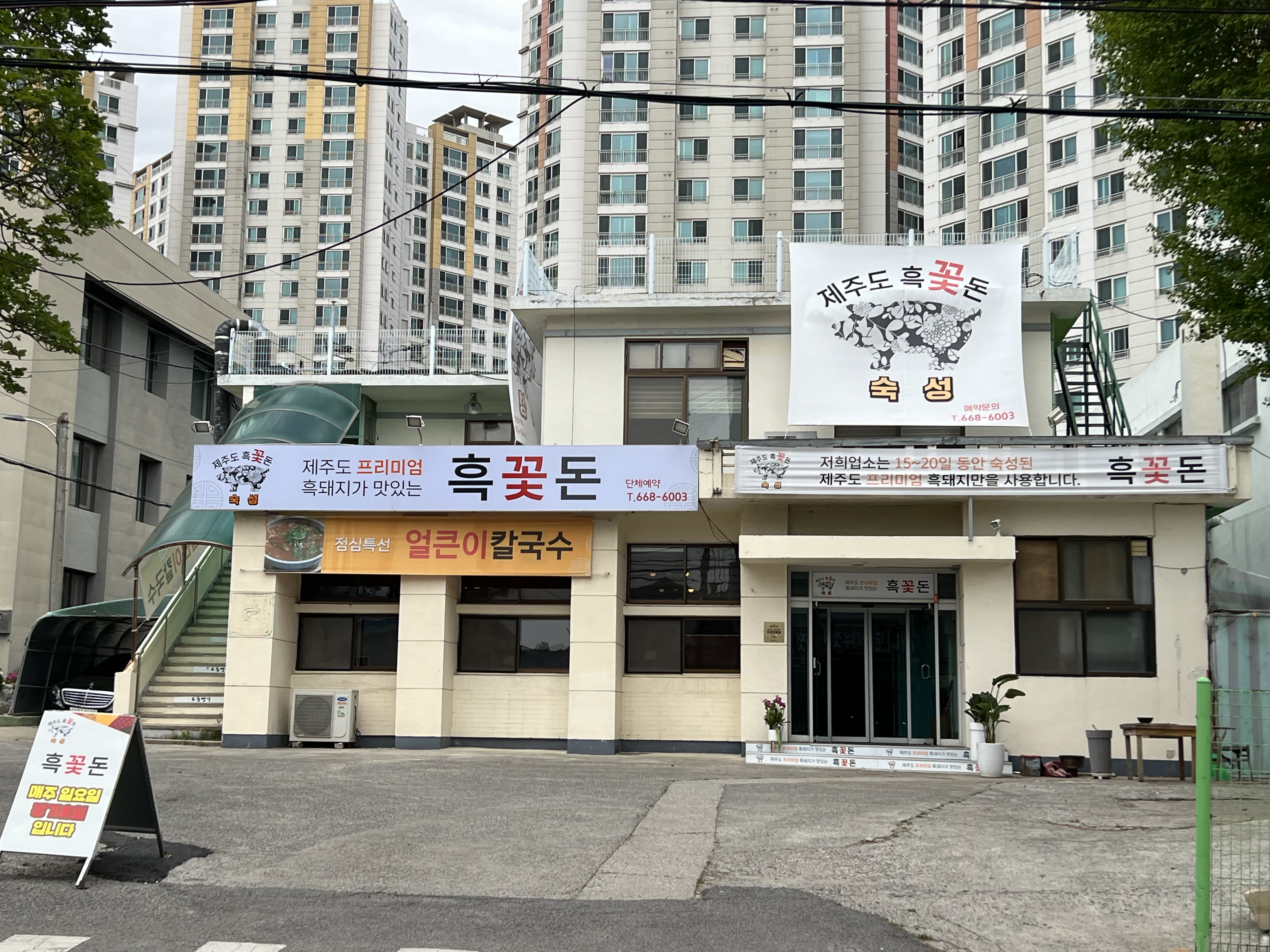 흑꽃돈