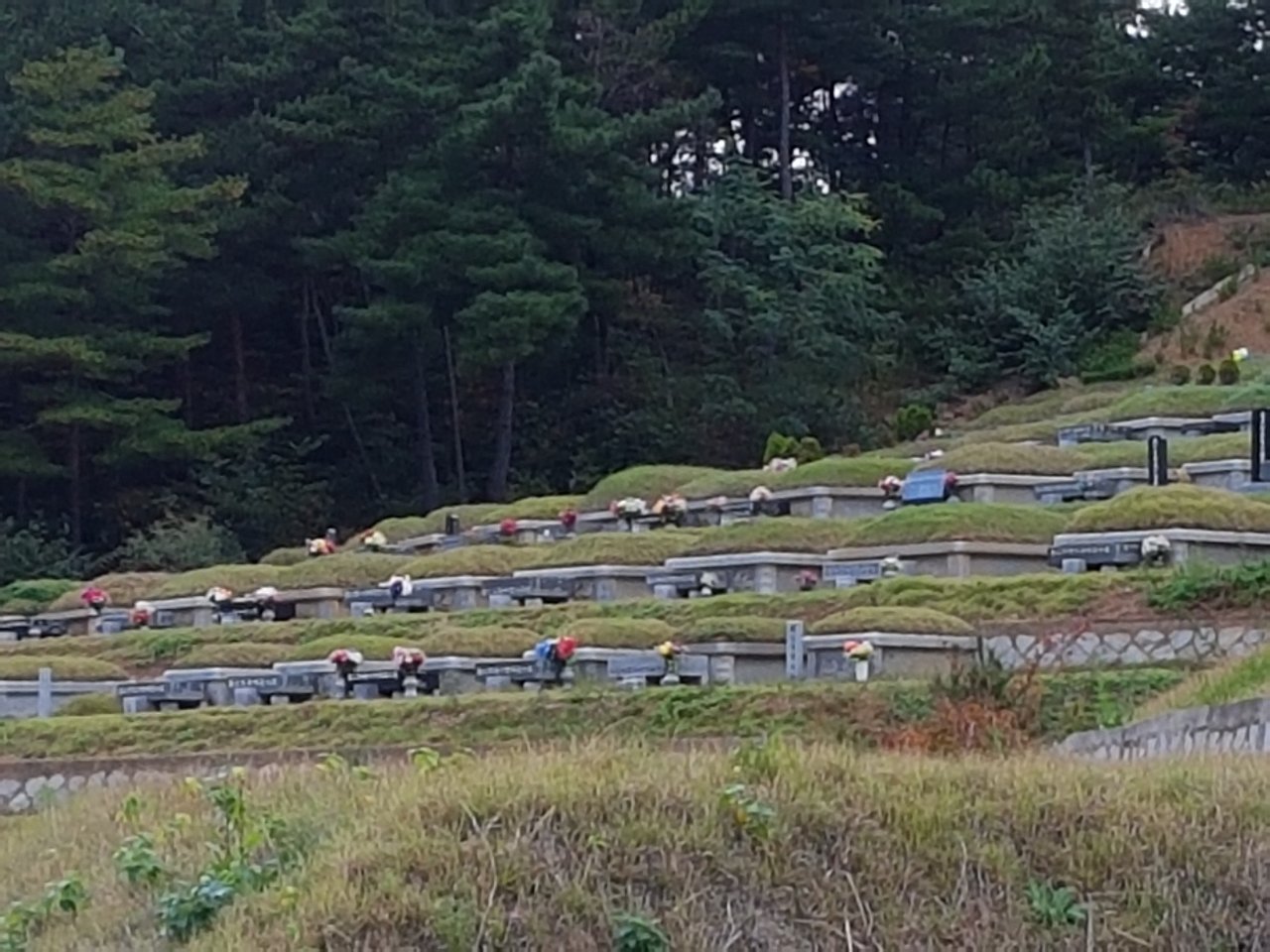 울진현대 장의사