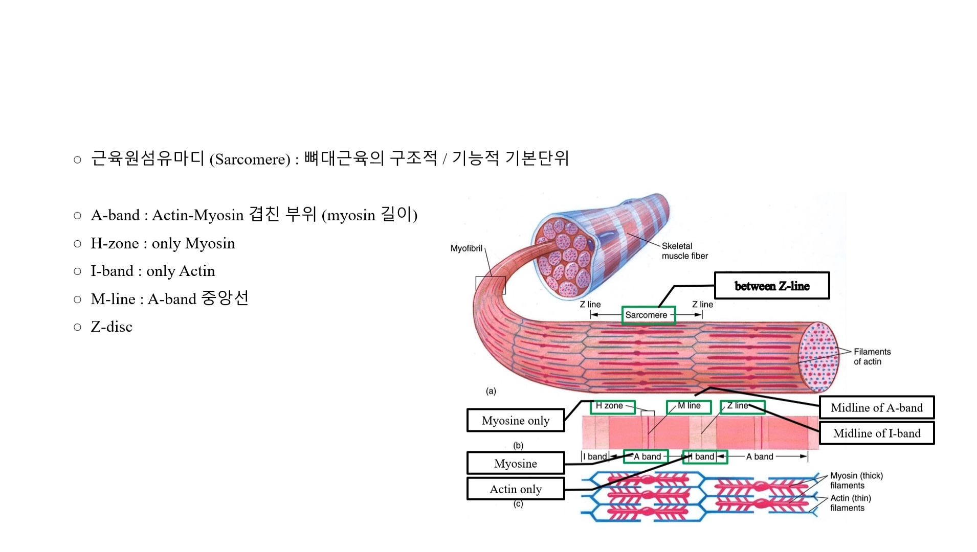 힐링파크 건강만들기