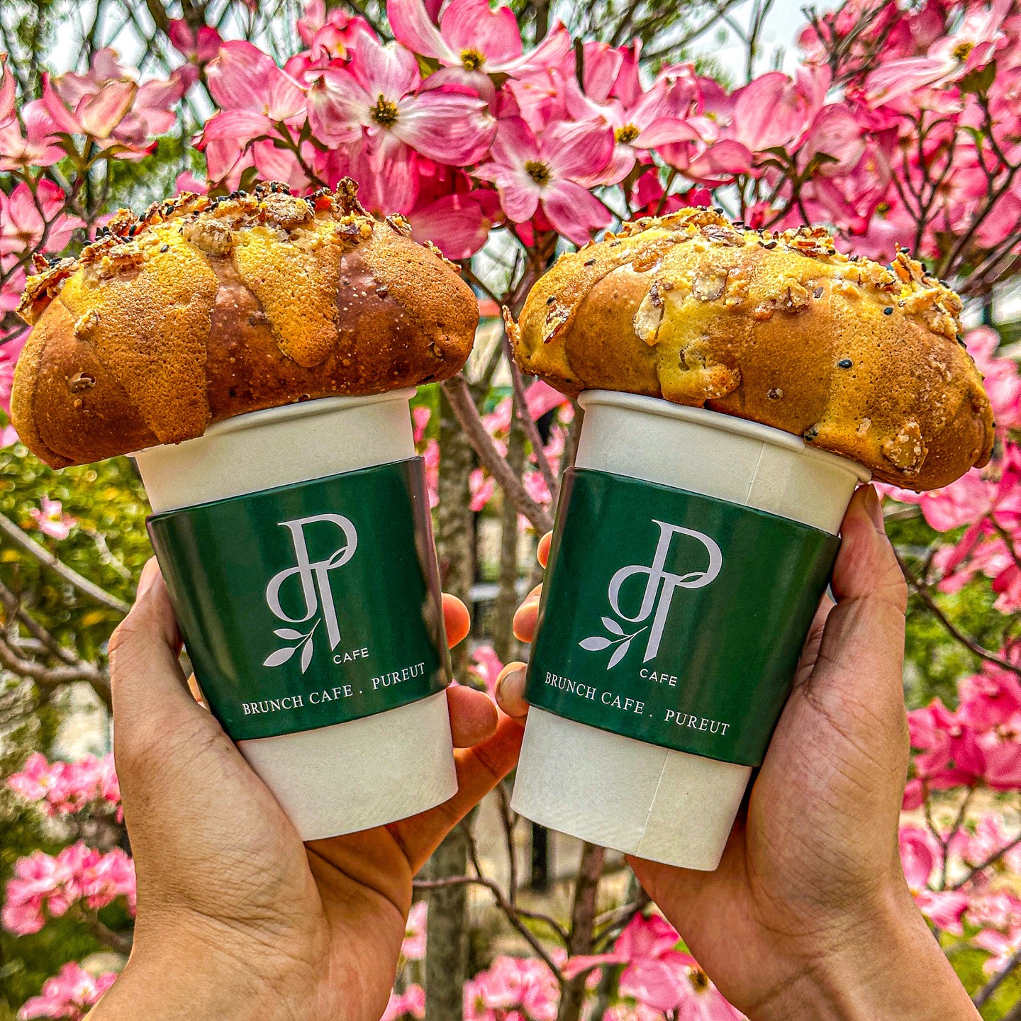 카페푸릇