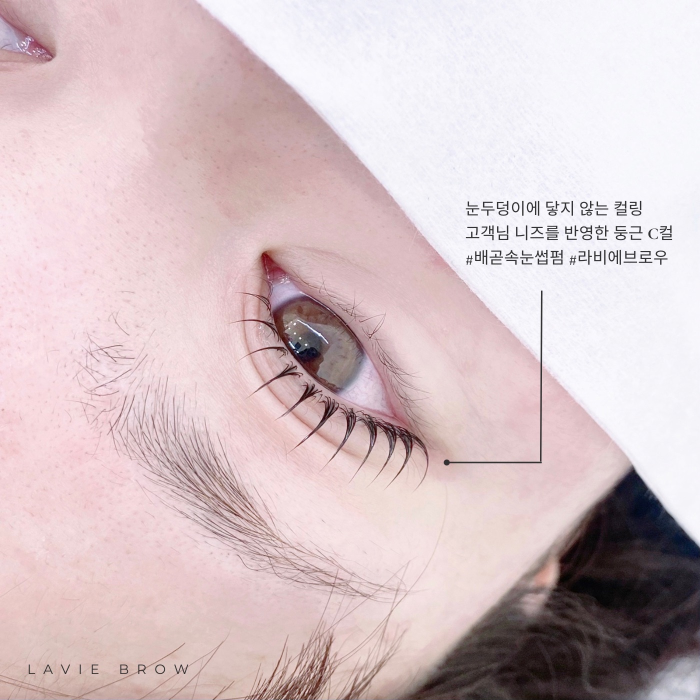 라비에브로우