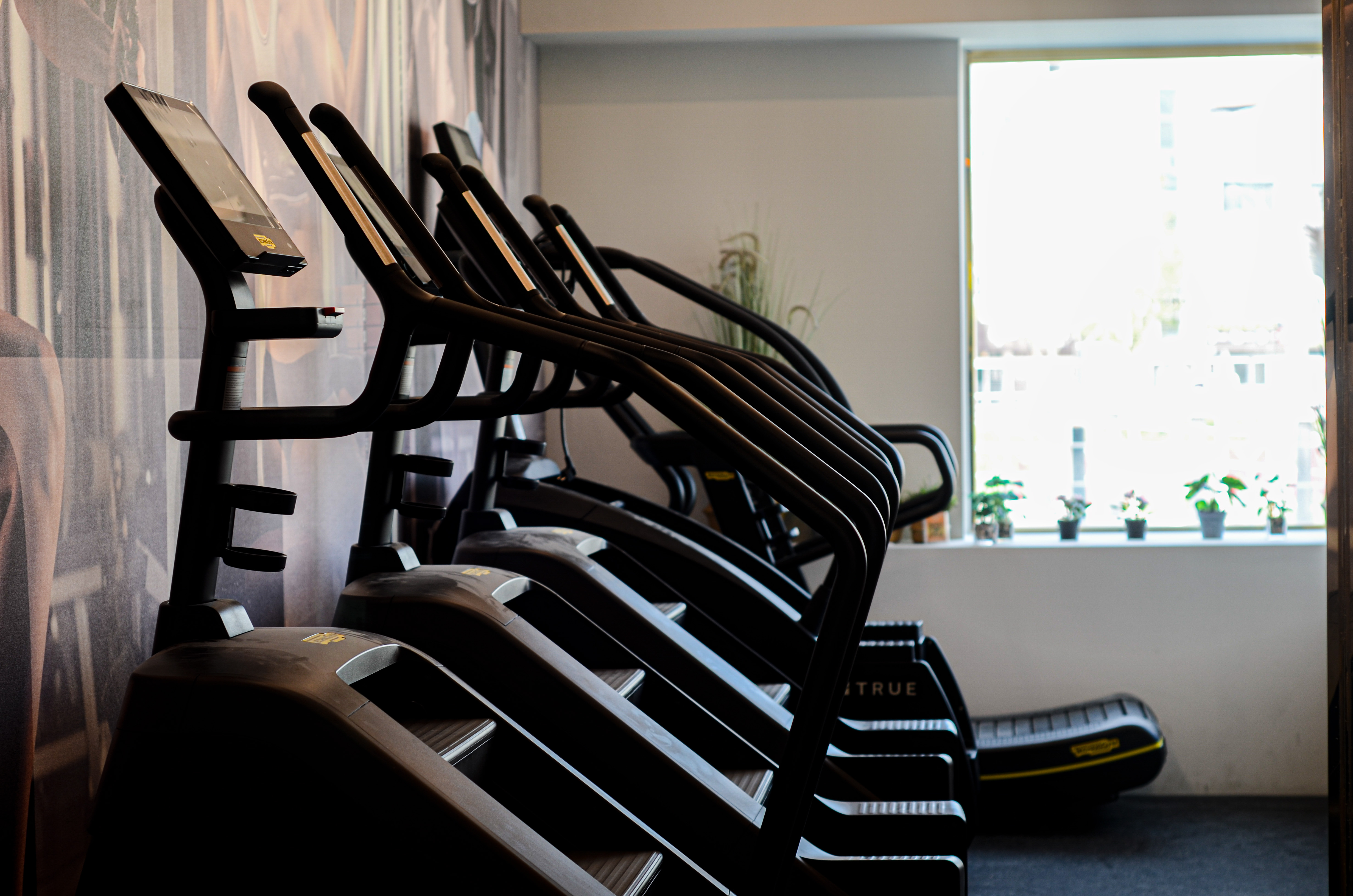 메이트짐 앤 필라테스 대표 이미지