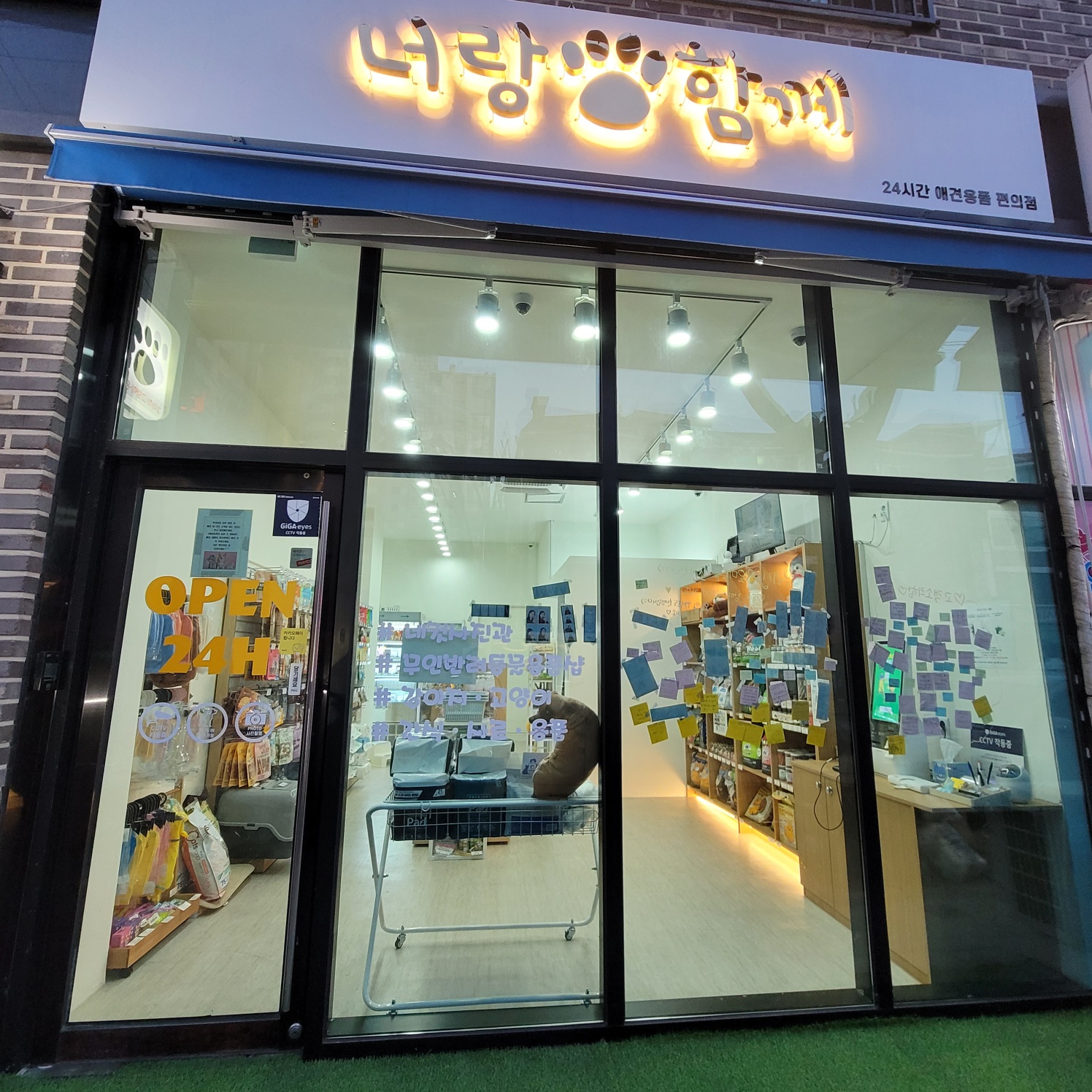 애견용품전문업체 추천 서울 강북구 지역 우수업체 강아지목줄 강아지쿨나시 강아지쿨조끼 너랑함께