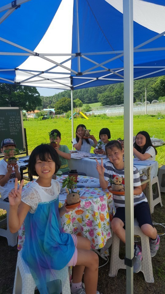 와야미술학교앤생태학교
