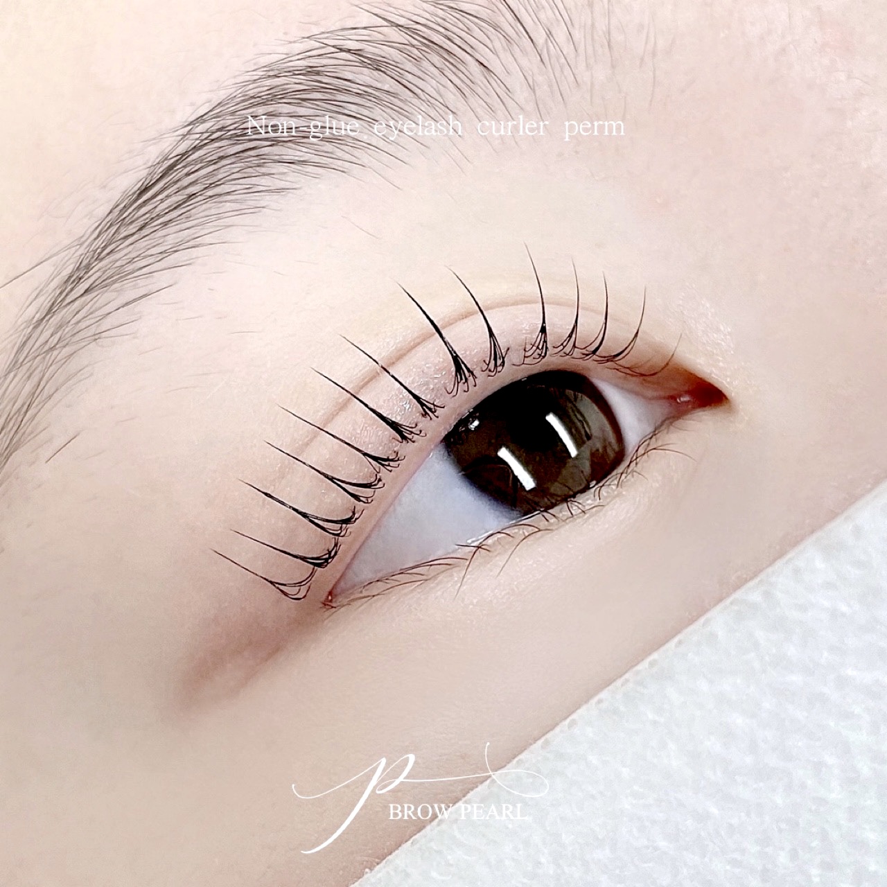 브로우 펄