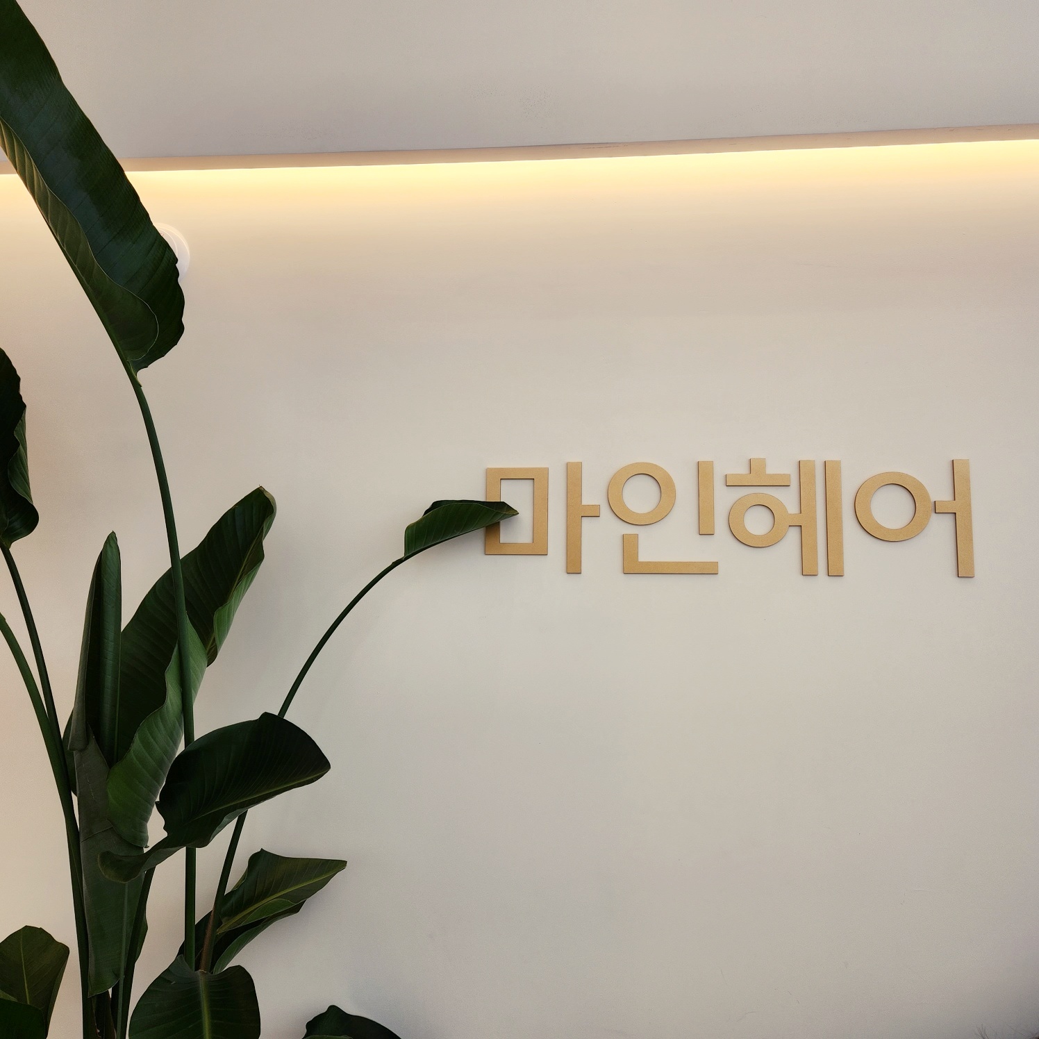마인헤어
