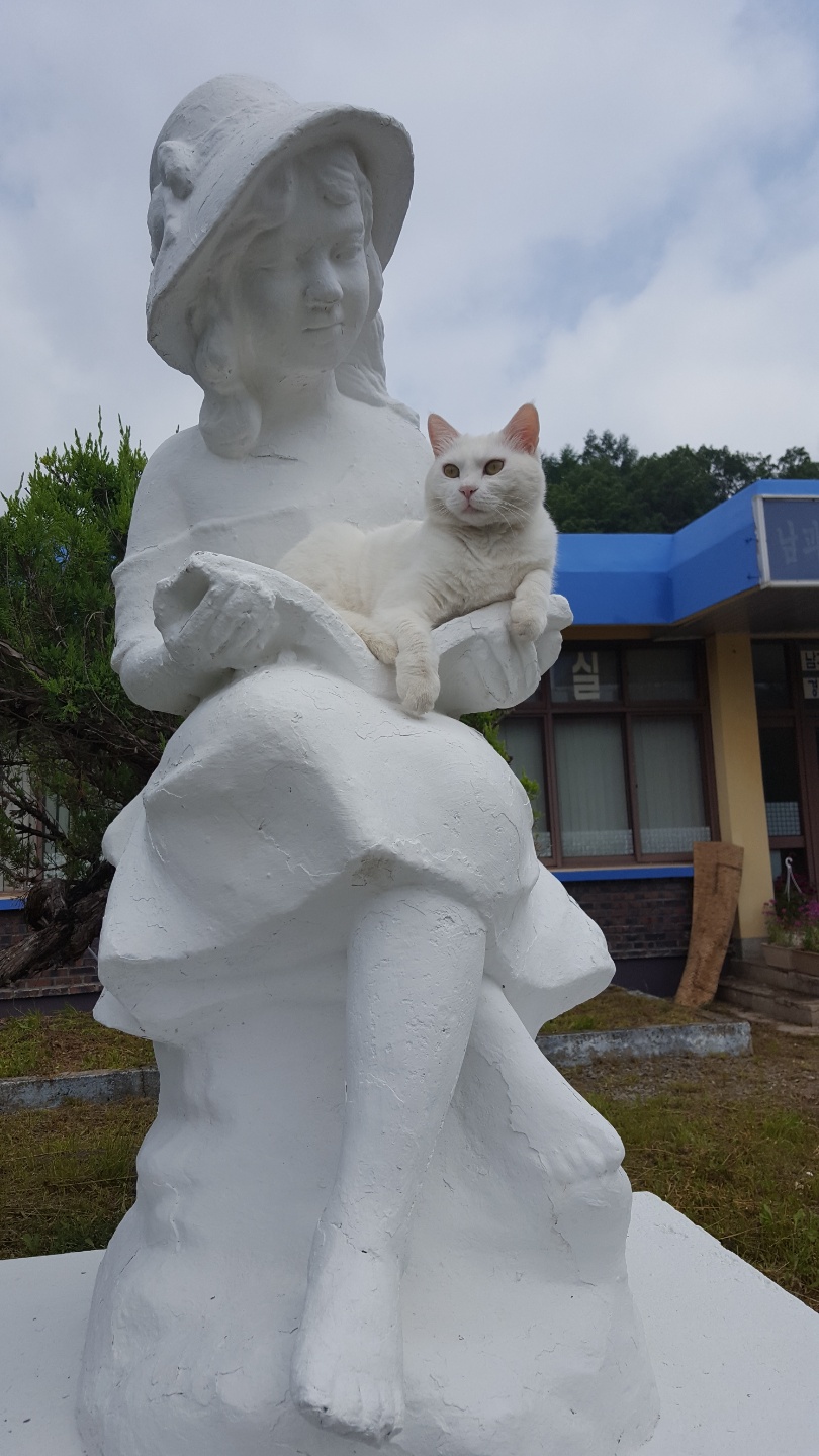 와야미술학교앤생태학교