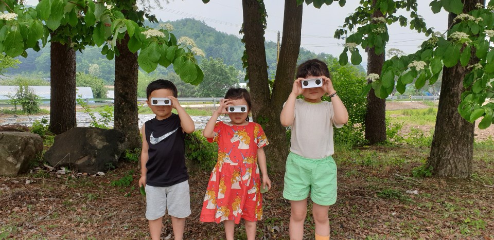 와야미술학교앤생태학교