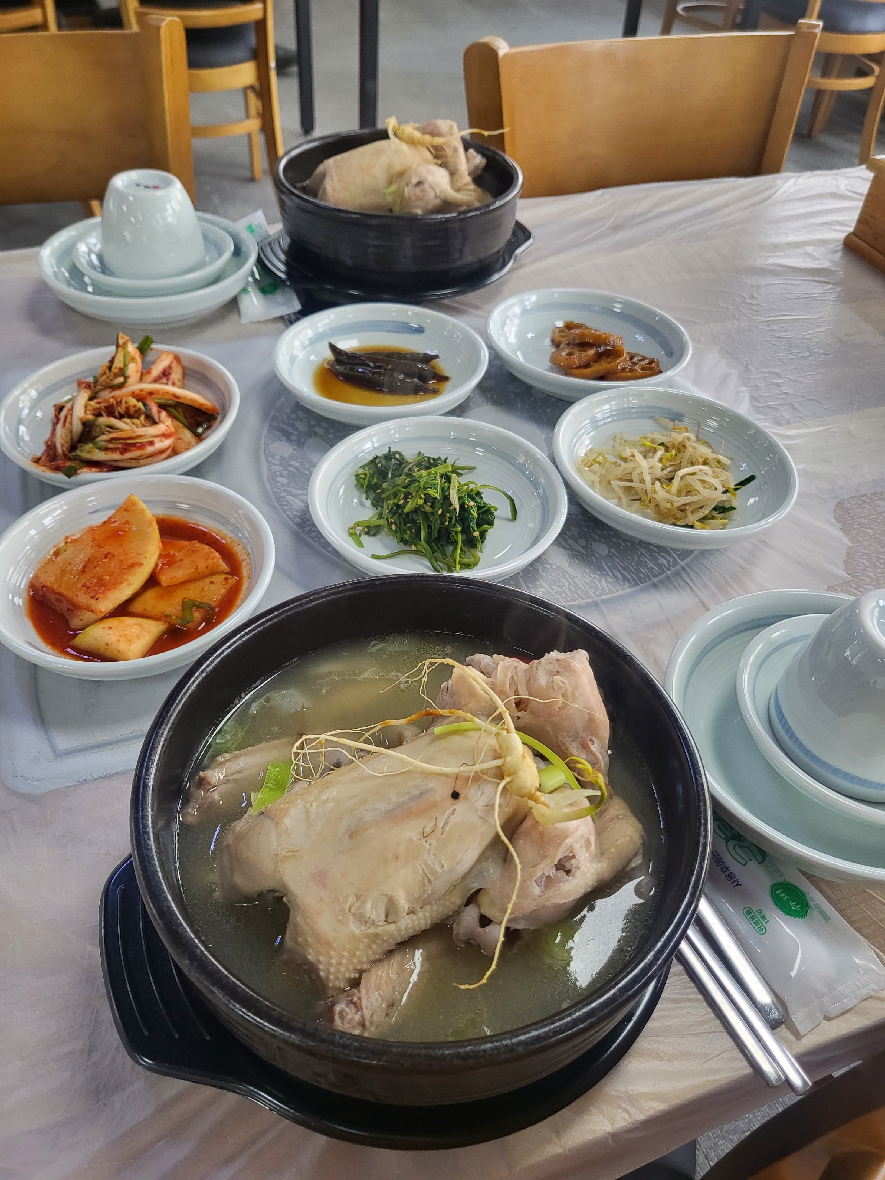 장수현 산양삼을 품은 닭
