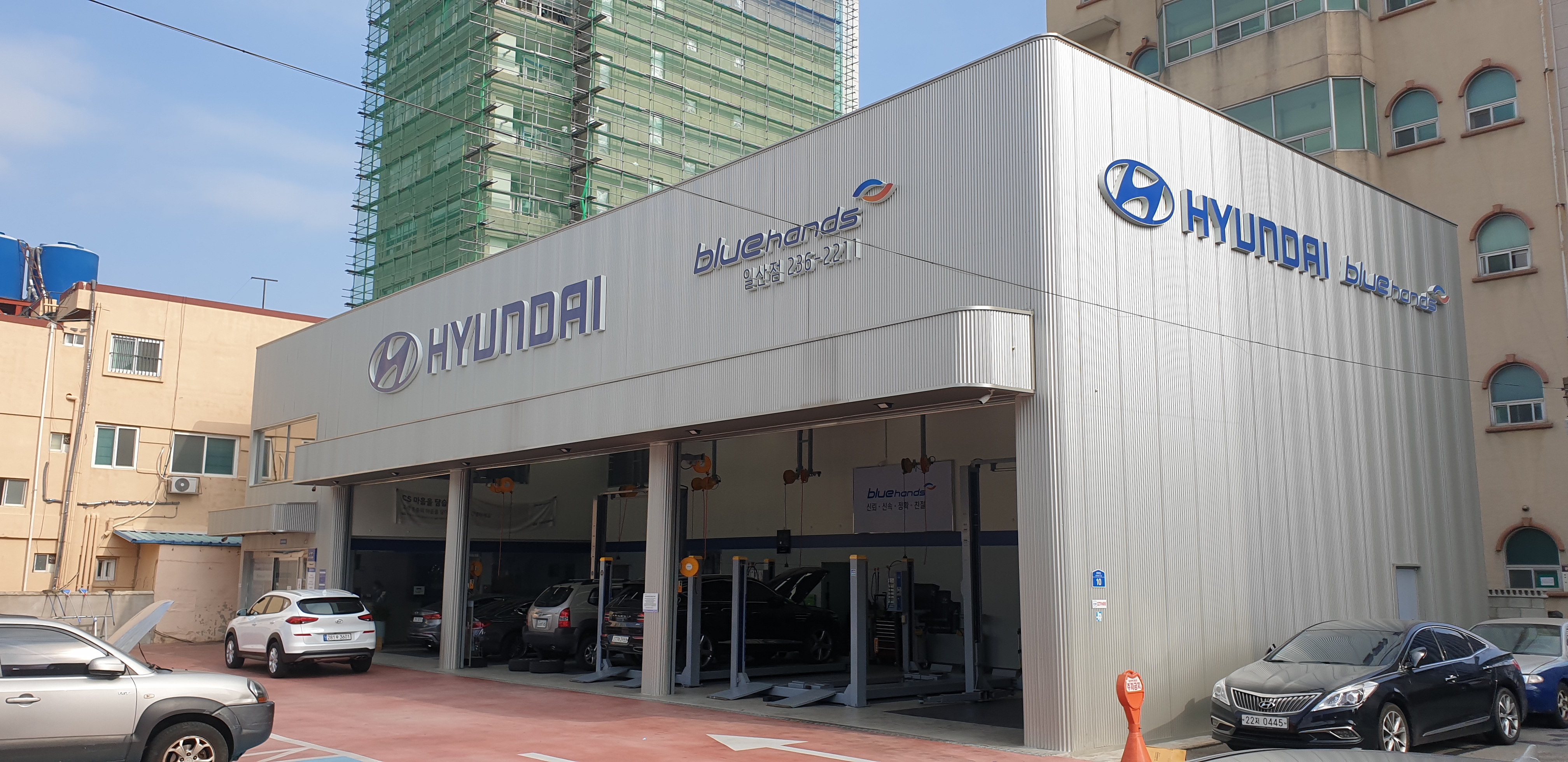 블루핸즈 일산점 대표 이미지
