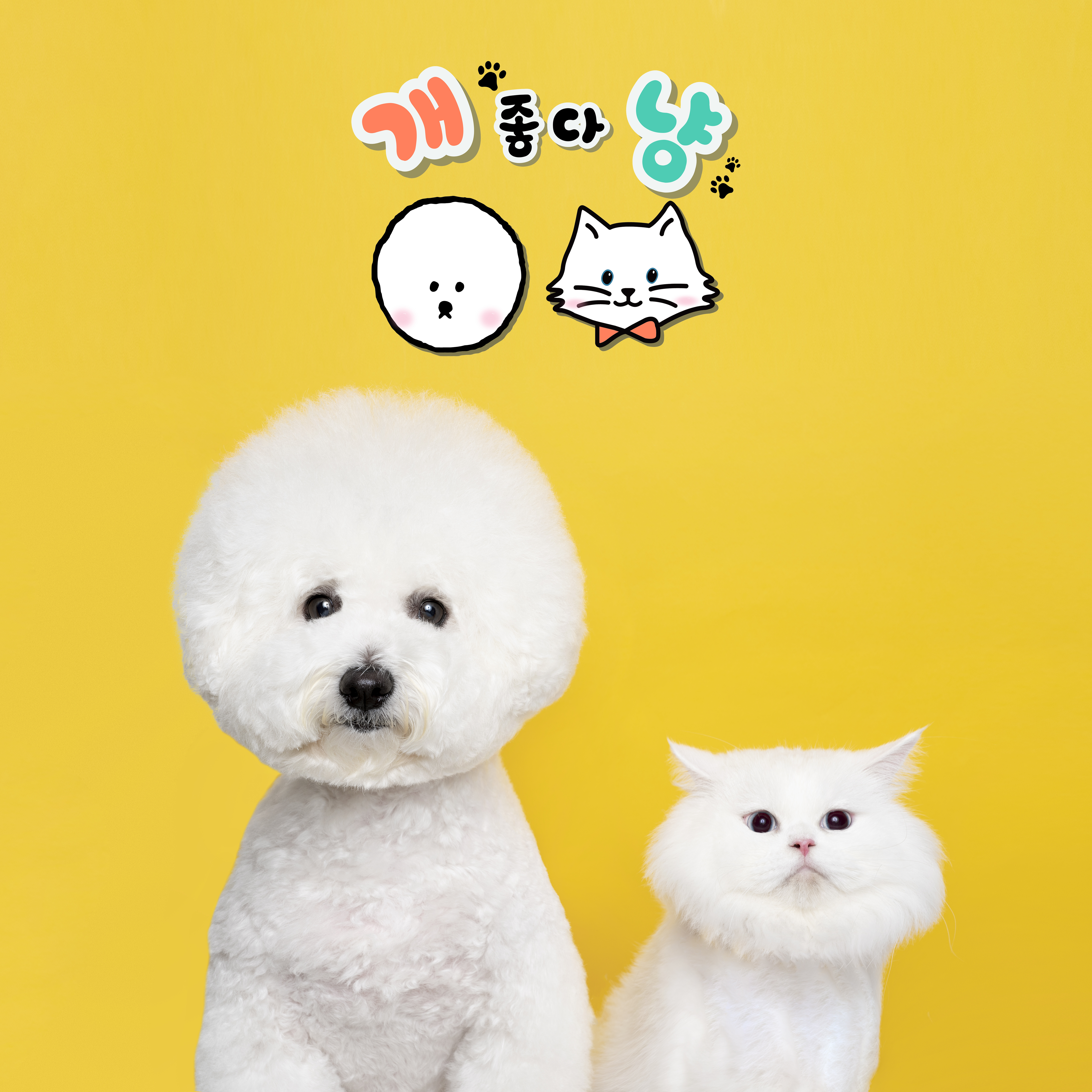 개좋다냥