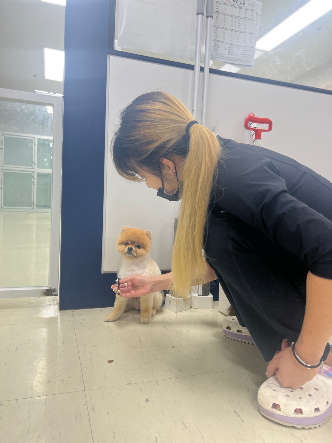 네발로오시개 대표 이미지 - 애견카페 내부