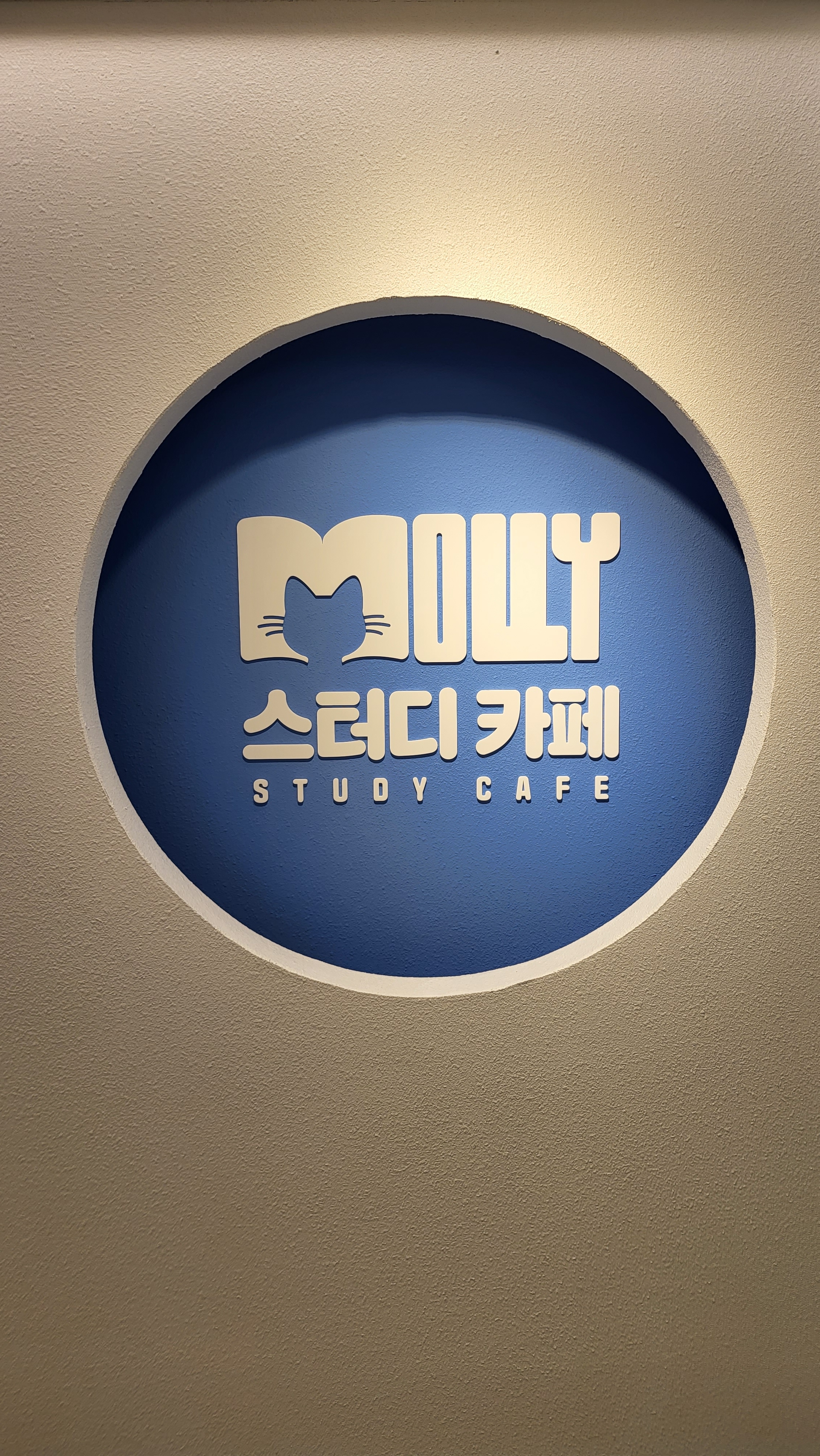 스터디카페 몰리