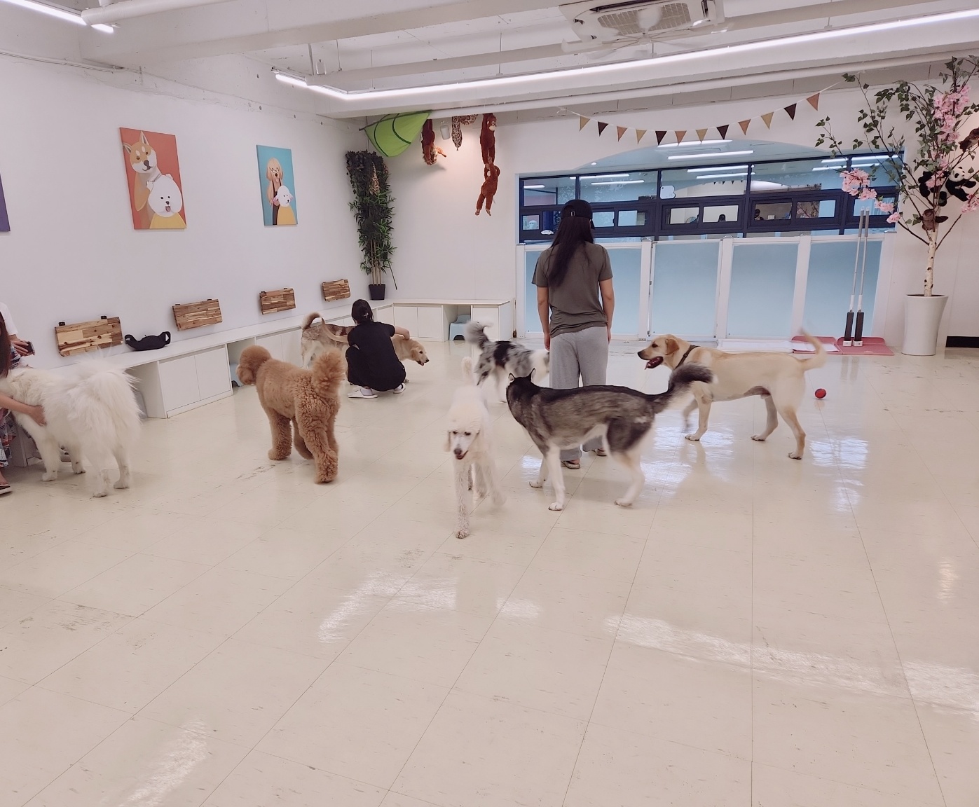 네발로오시개 대표 이미지 (카페/놀이 공간)