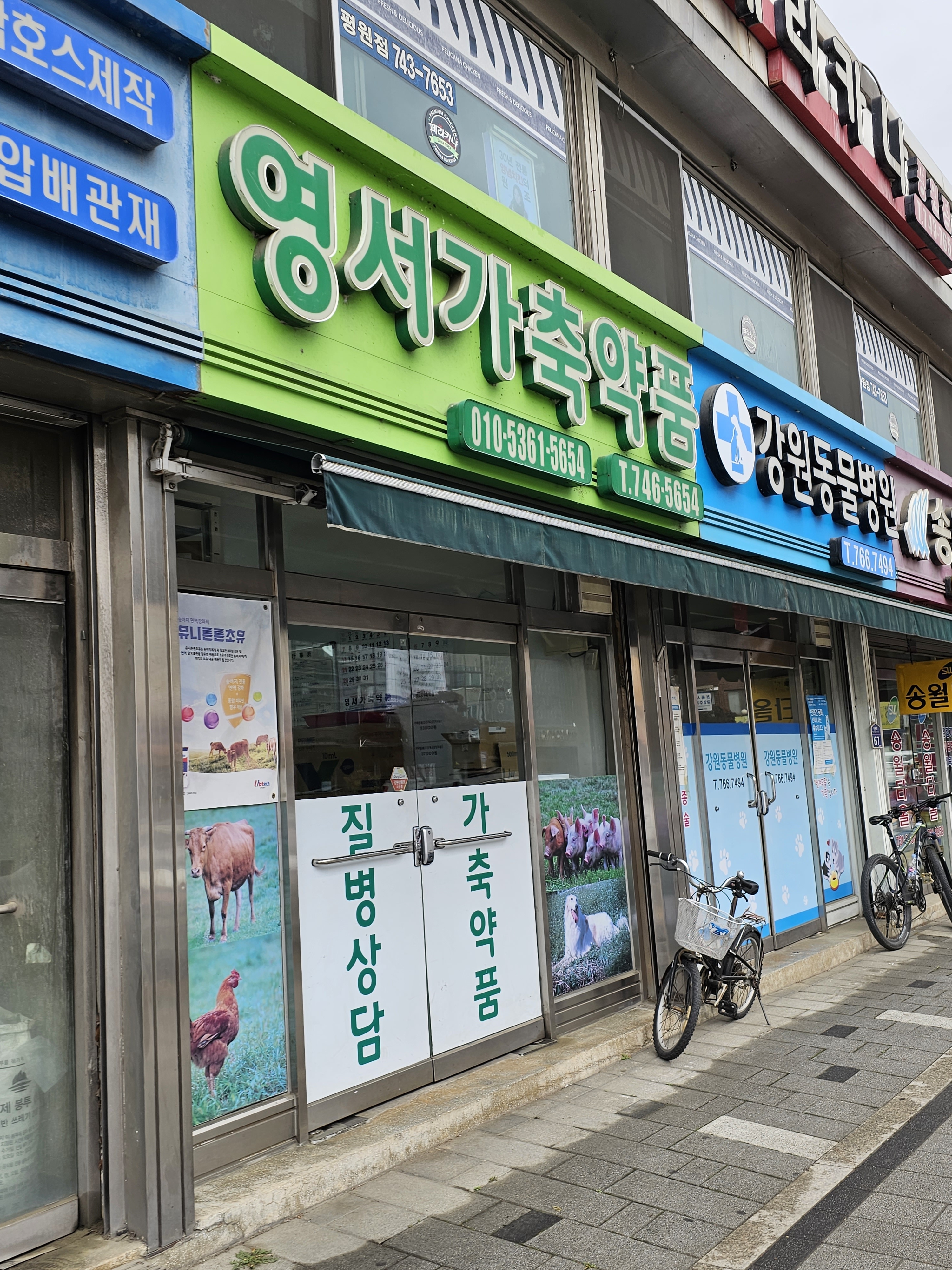 영서가축약품