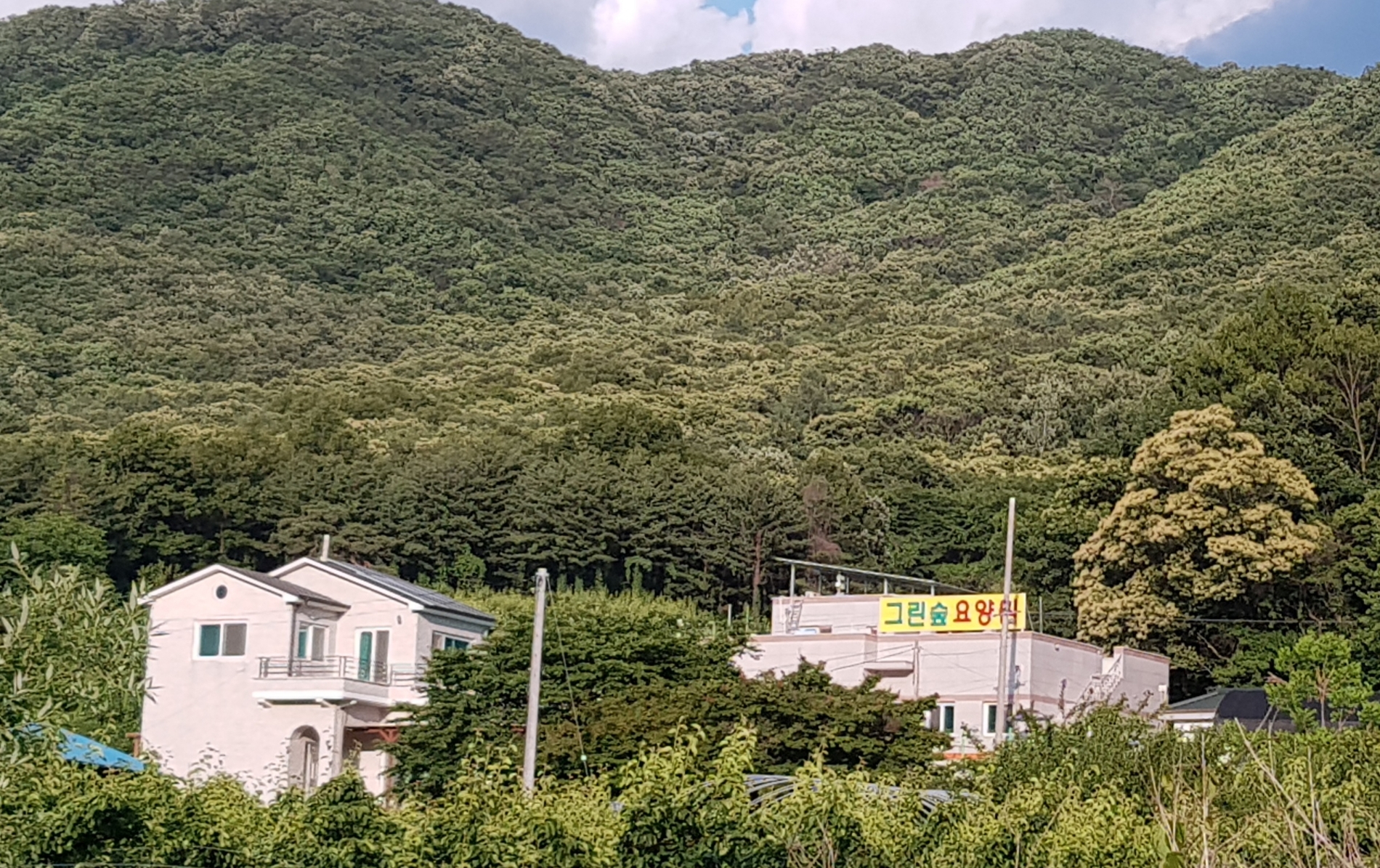 그린 숲 요양원