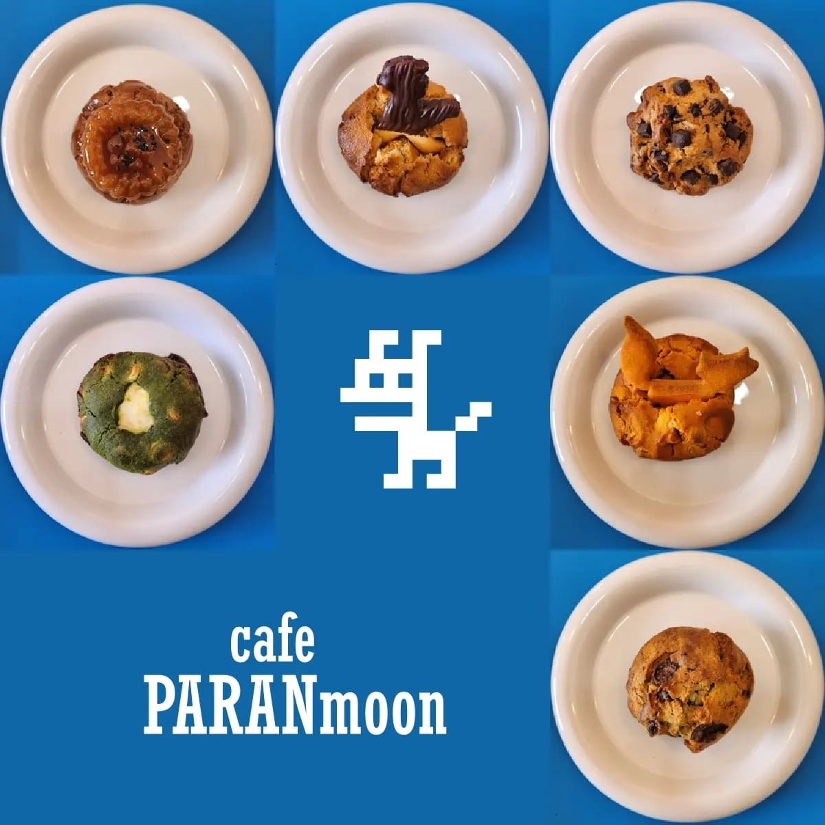 카페파란문 경상 애견맛집
