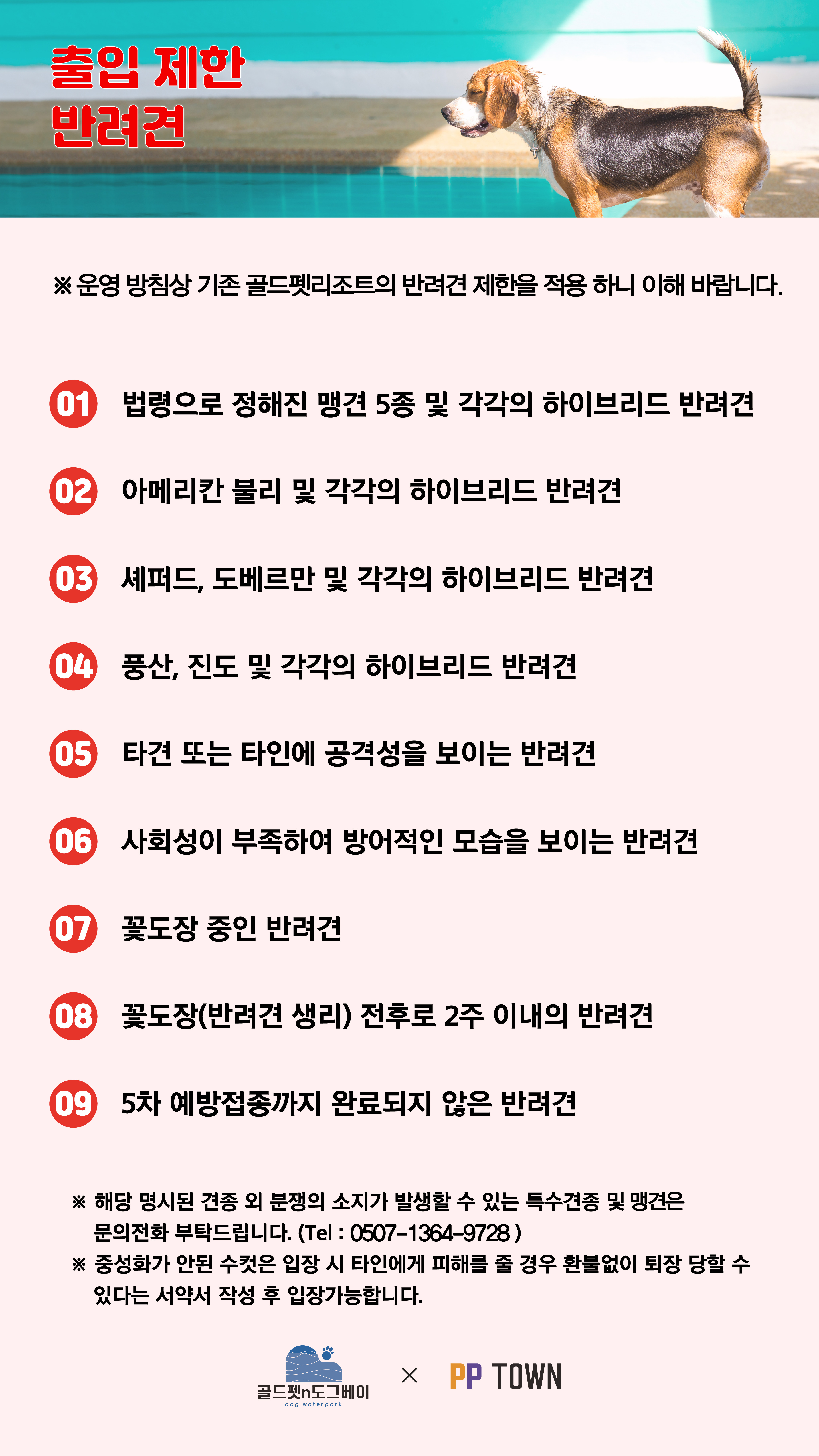 여기다댕댕이 골드펫&도그베이