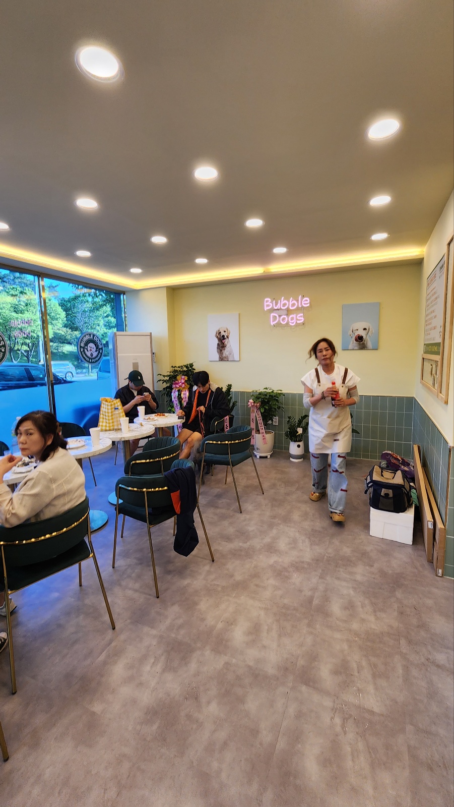 버블독스 대표 이미지