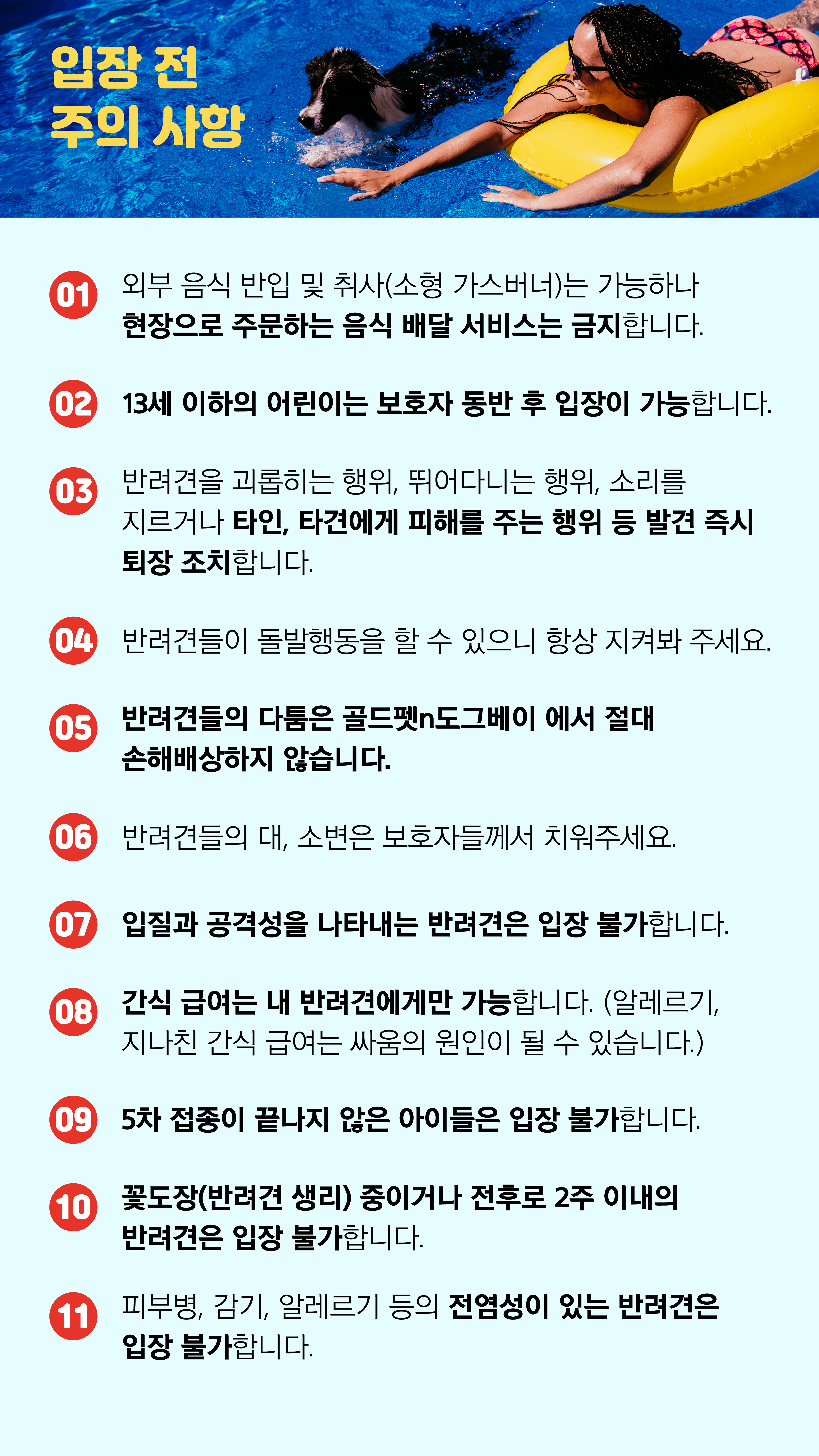 여기다댕댕이 골드펫&도그베이