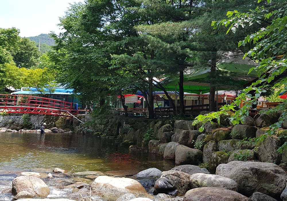 단양천동계곡캠핑장 그린농원