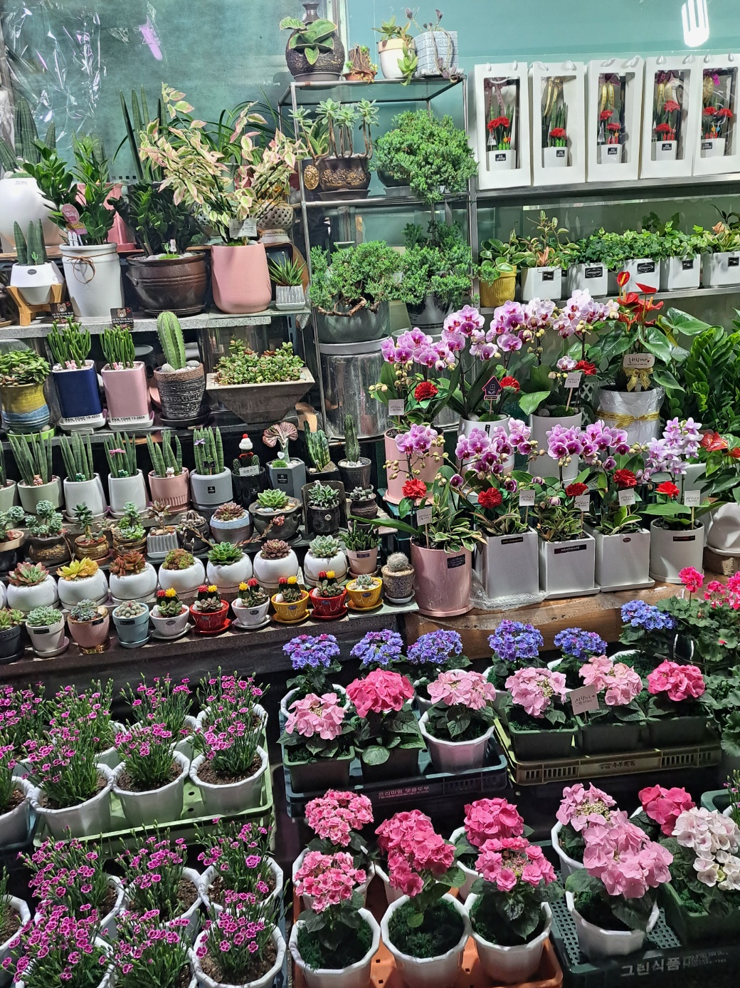 하나화원