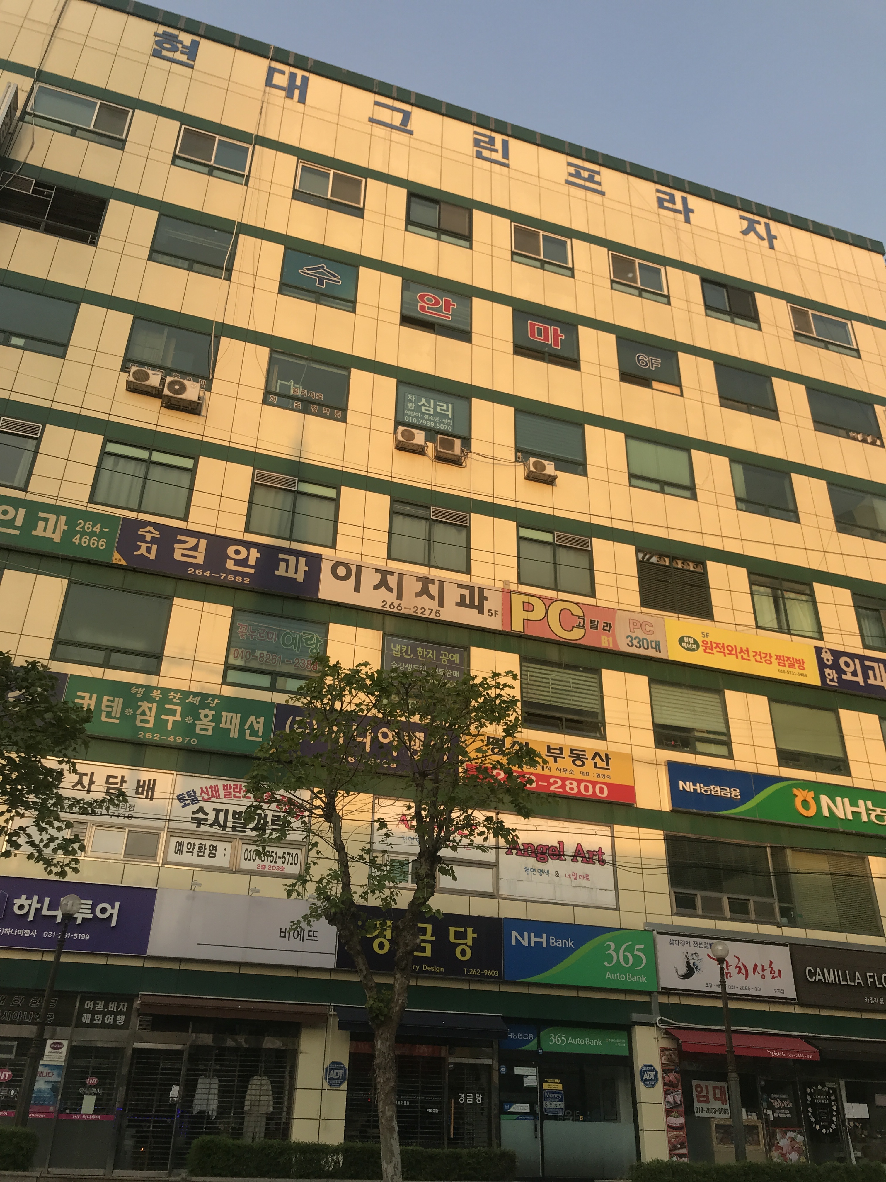 퀀텀에너지 원적외선 건강 찜질방