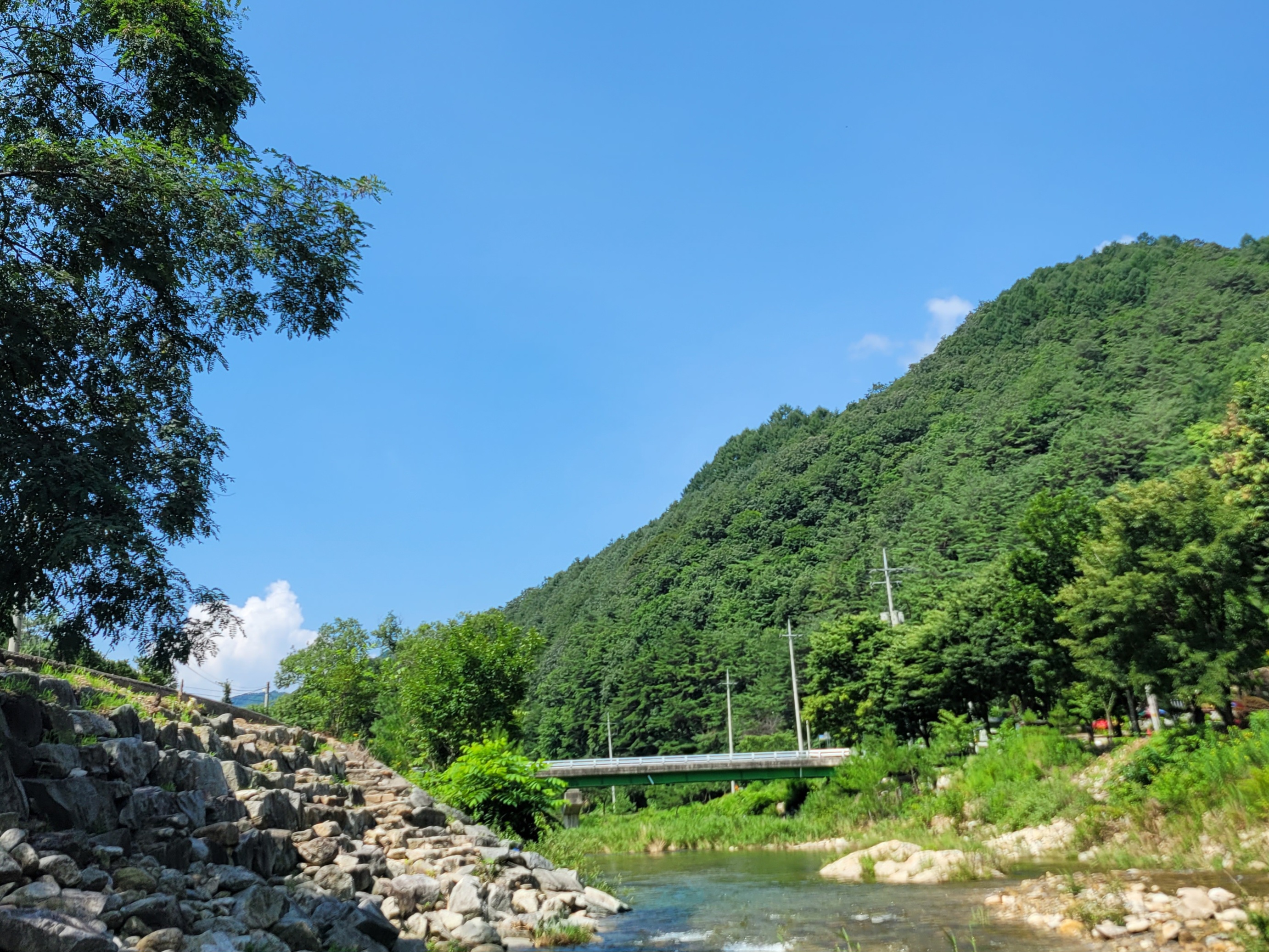 청산캠프