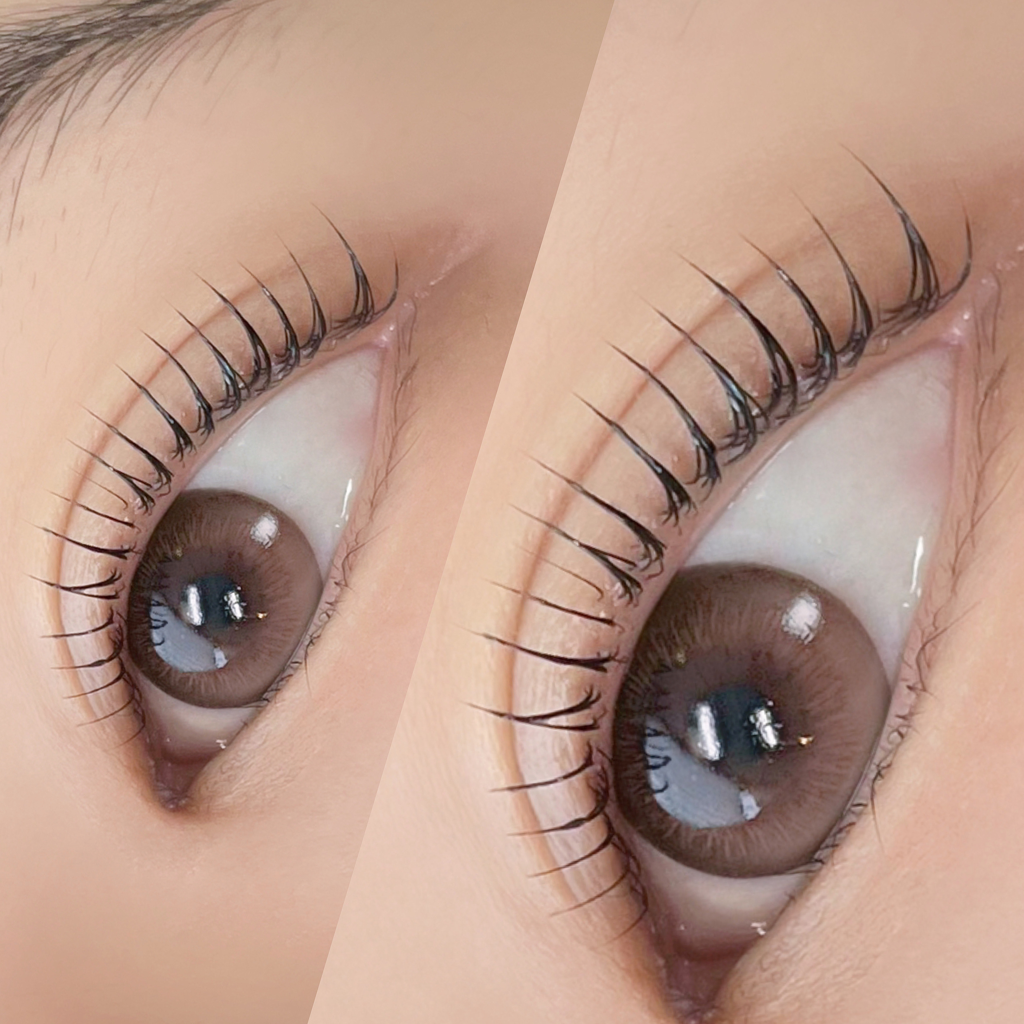 가드닝브로우 대표 이미지