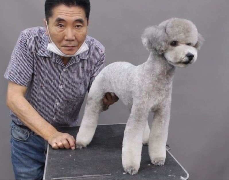 윤형석애견미용학원 대표 이미지