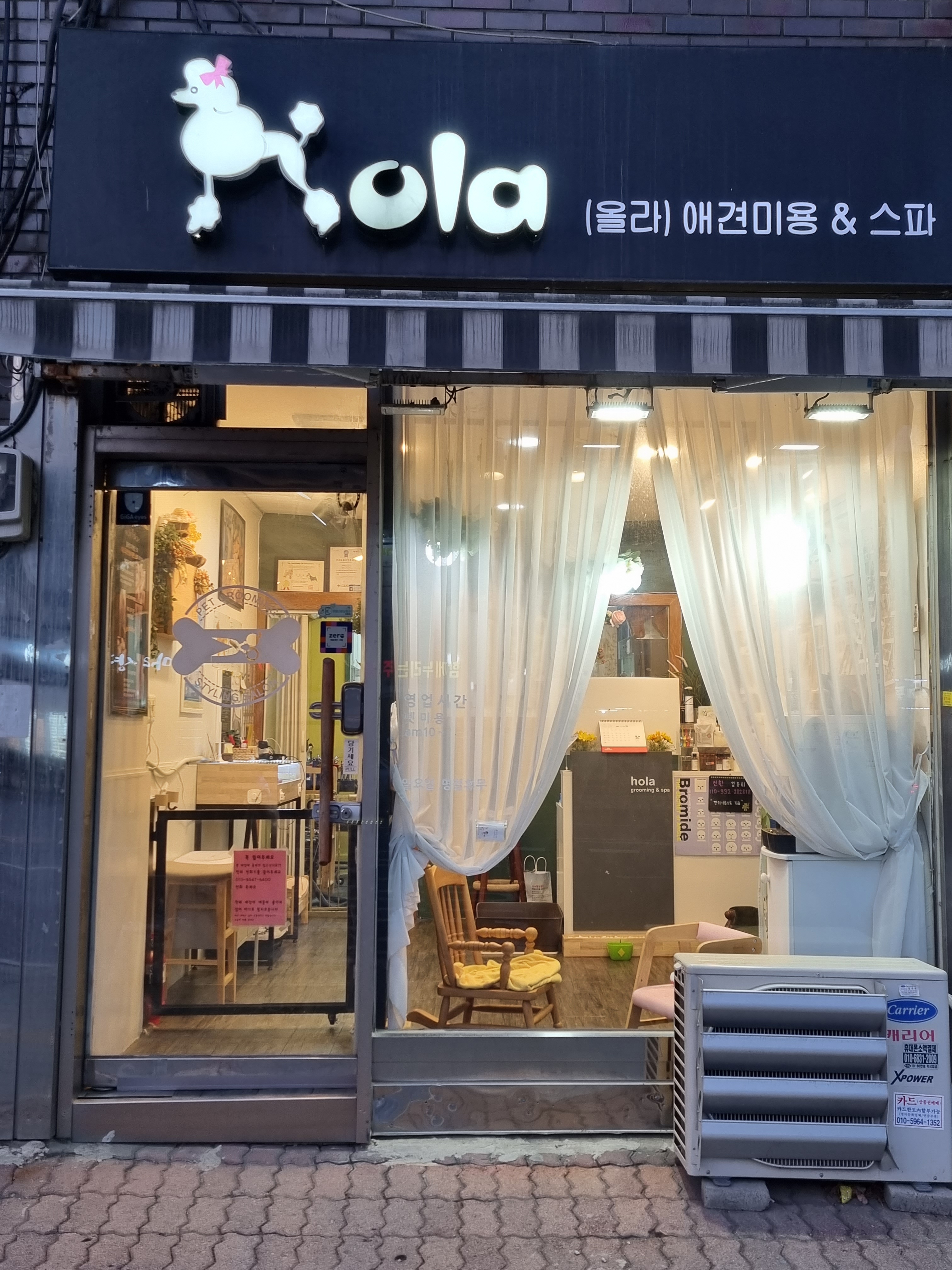 올라애견미용실 대표 이미지