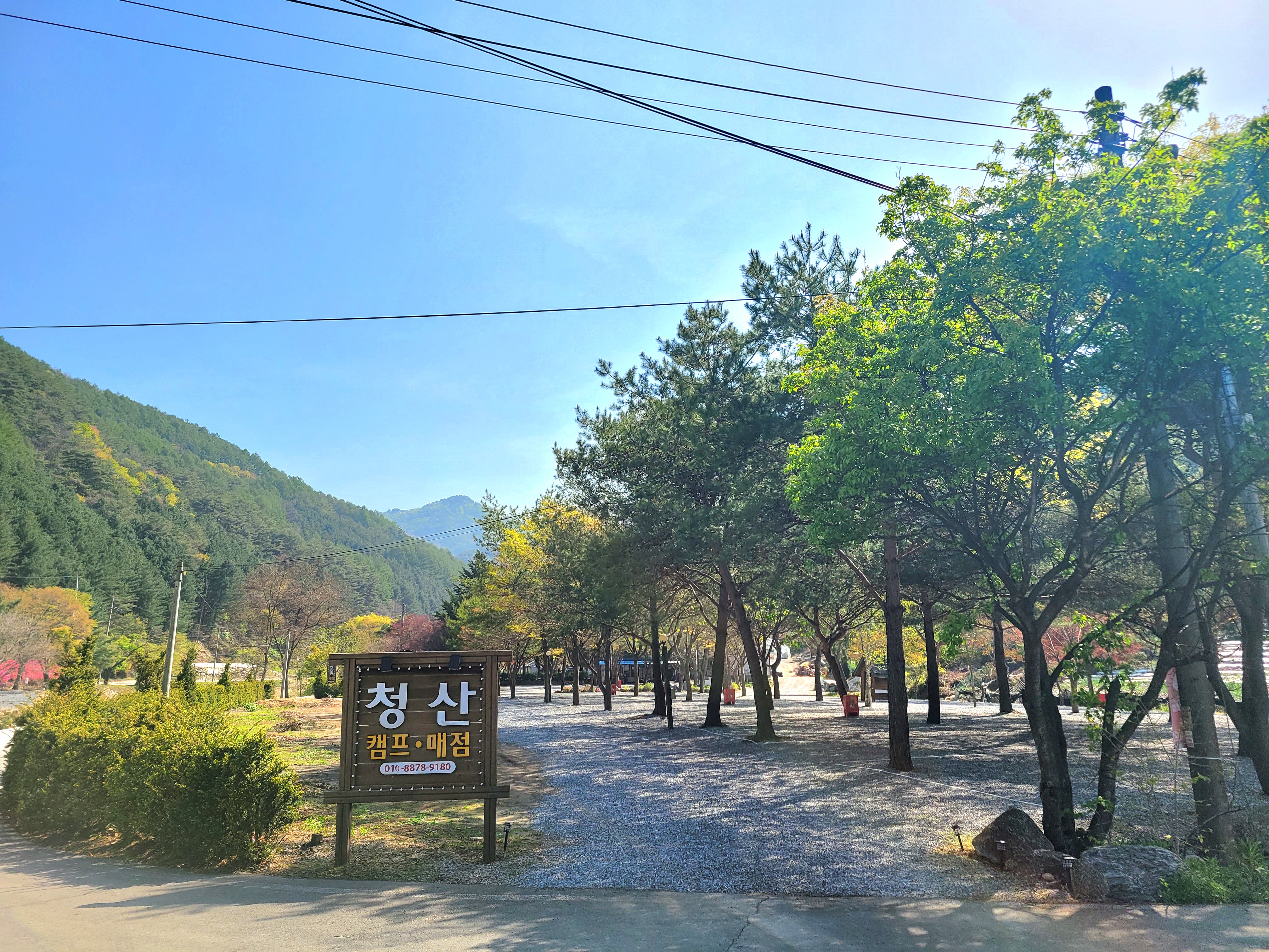 청산캠프