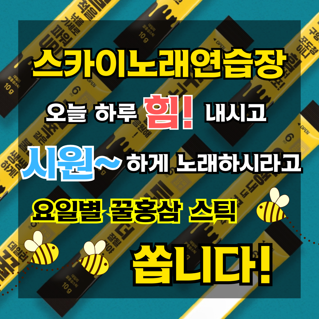 스카이노래연습장