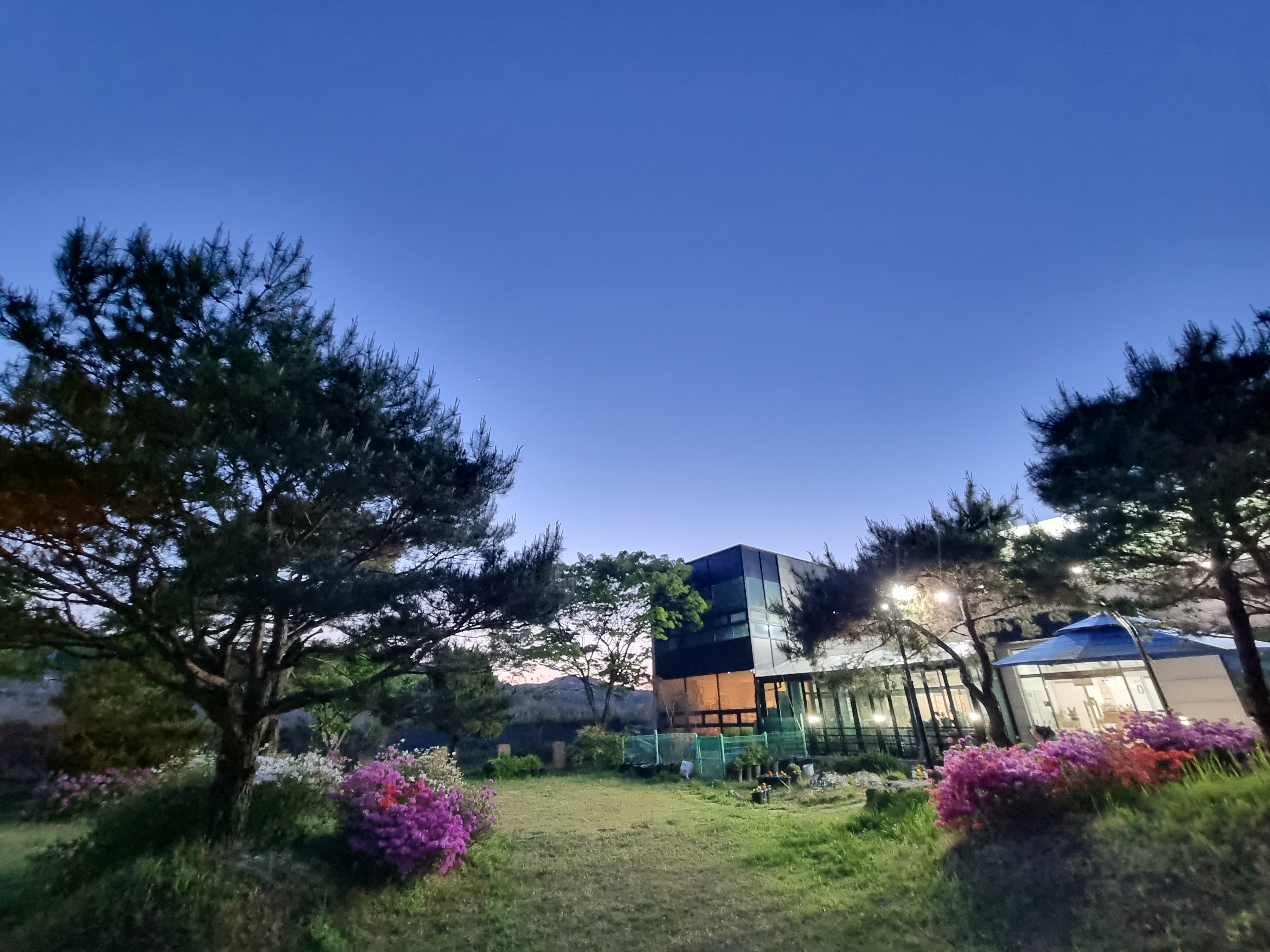 아이드림펫