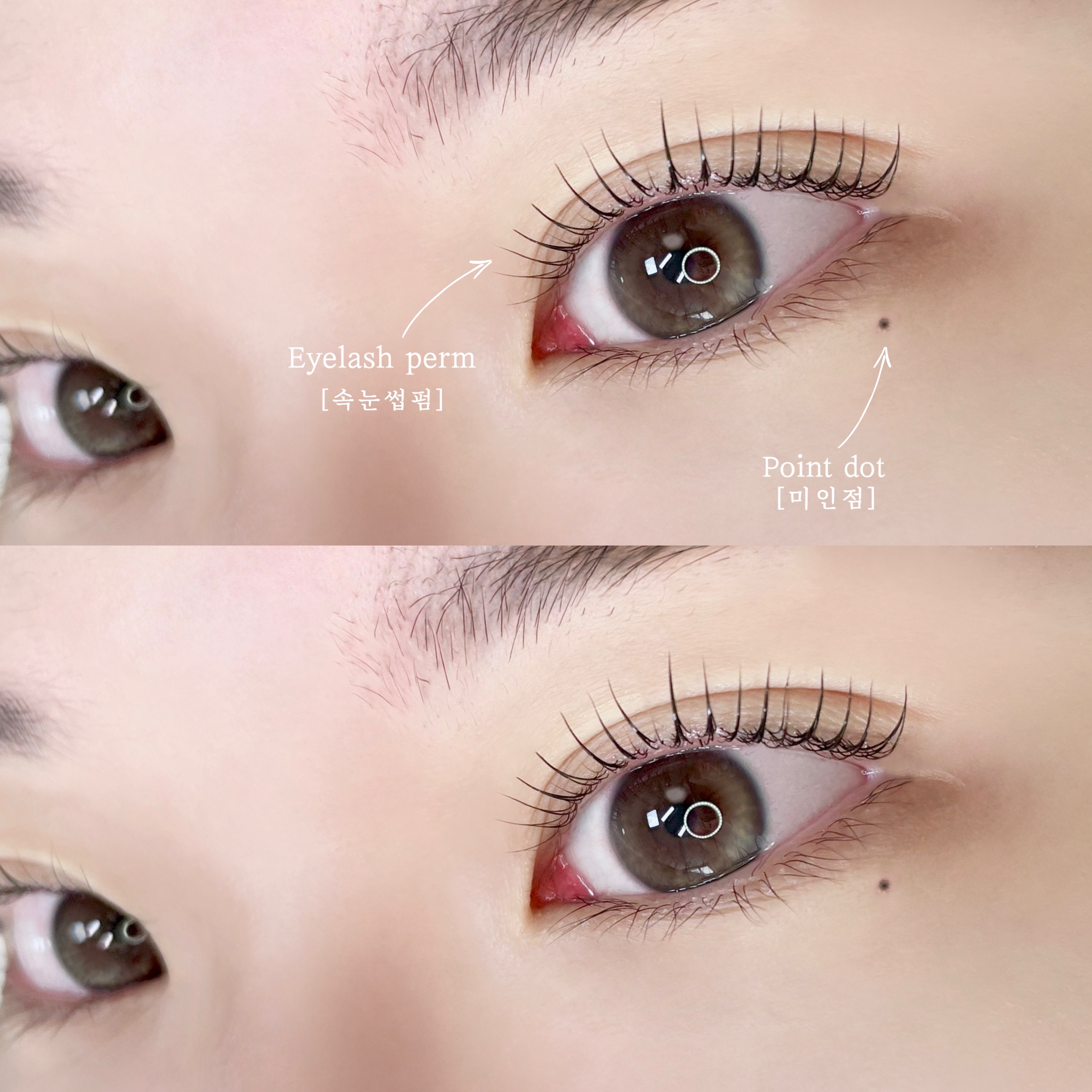 가드닝브로우 대표 이미지