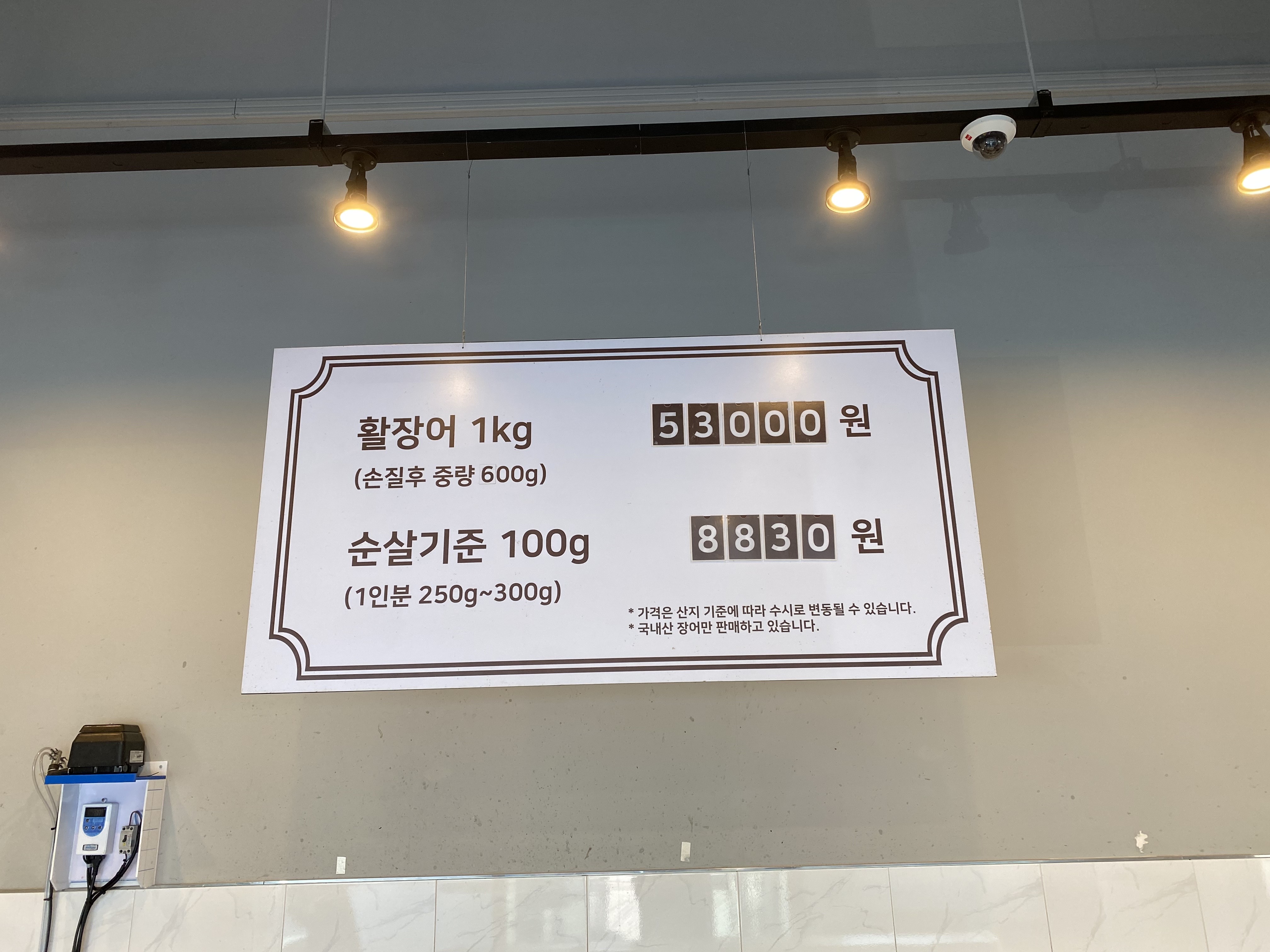 세마대 풍천장어