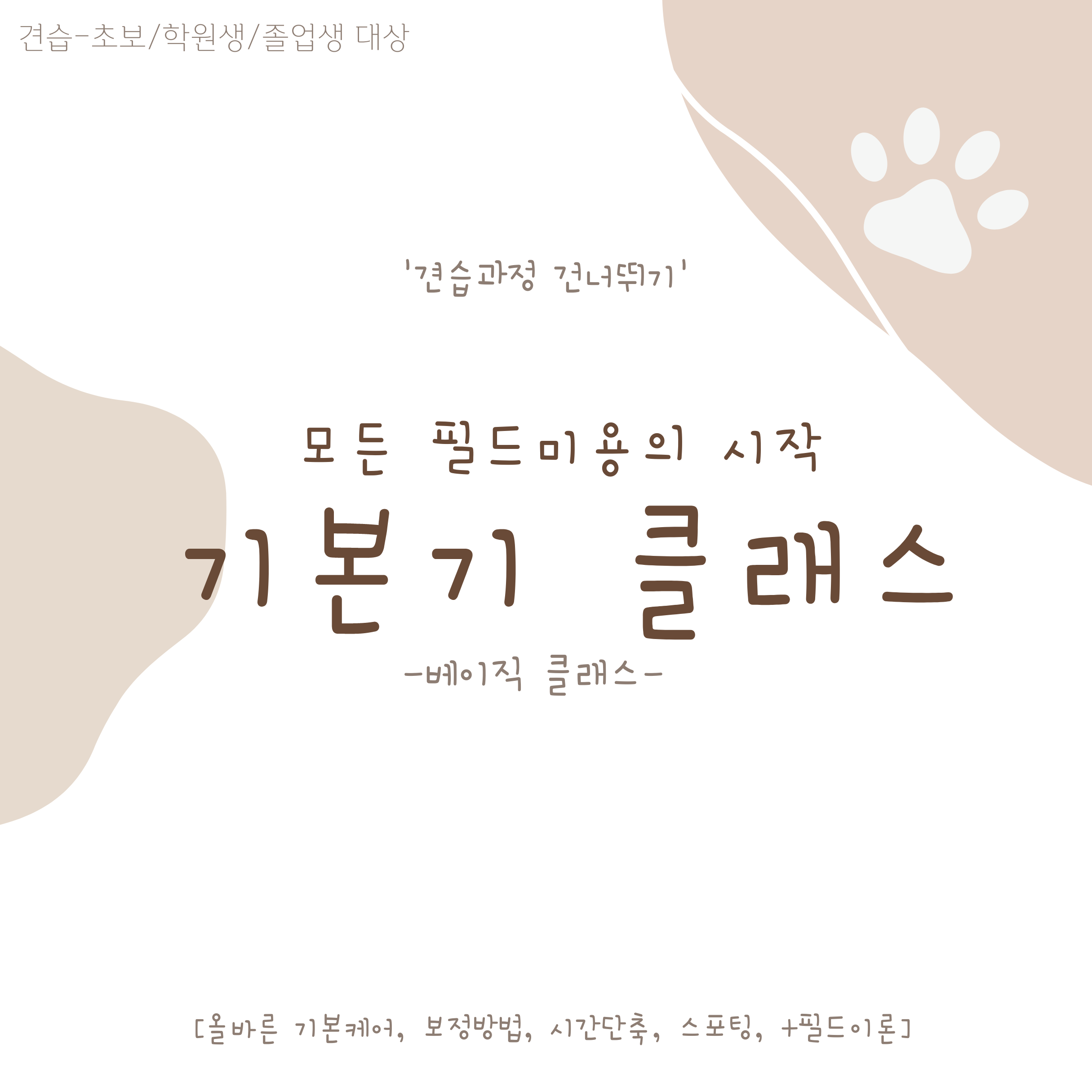 아르테미스 아카데미/애견미용학원