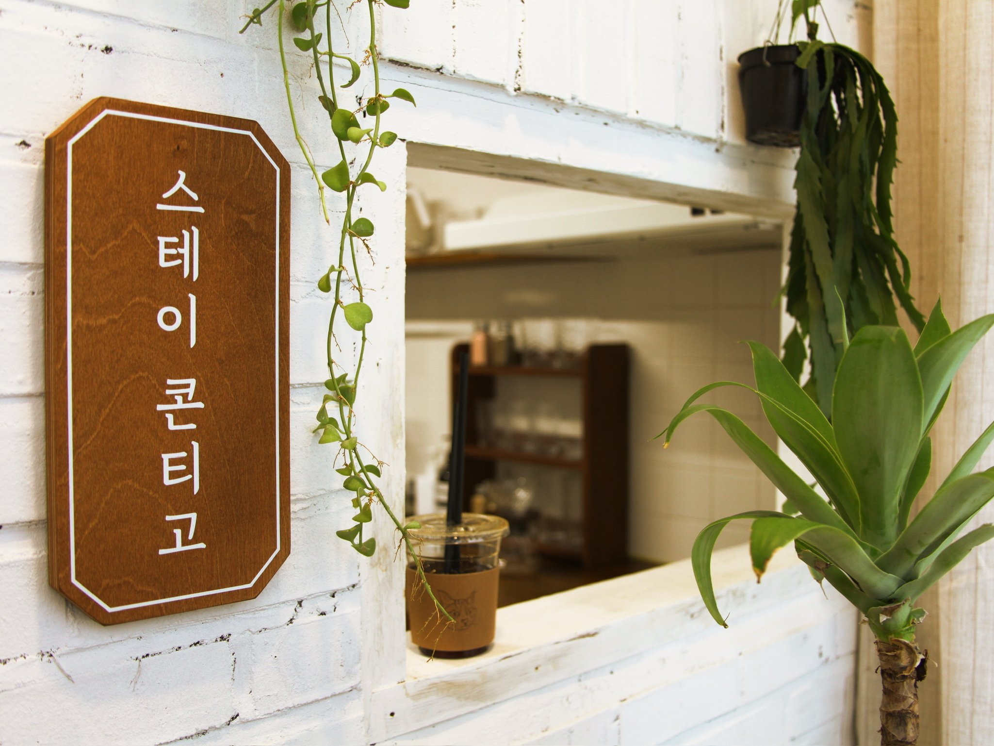 스테이 콘티고