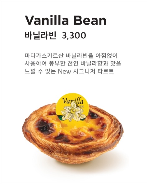 애니씽포유