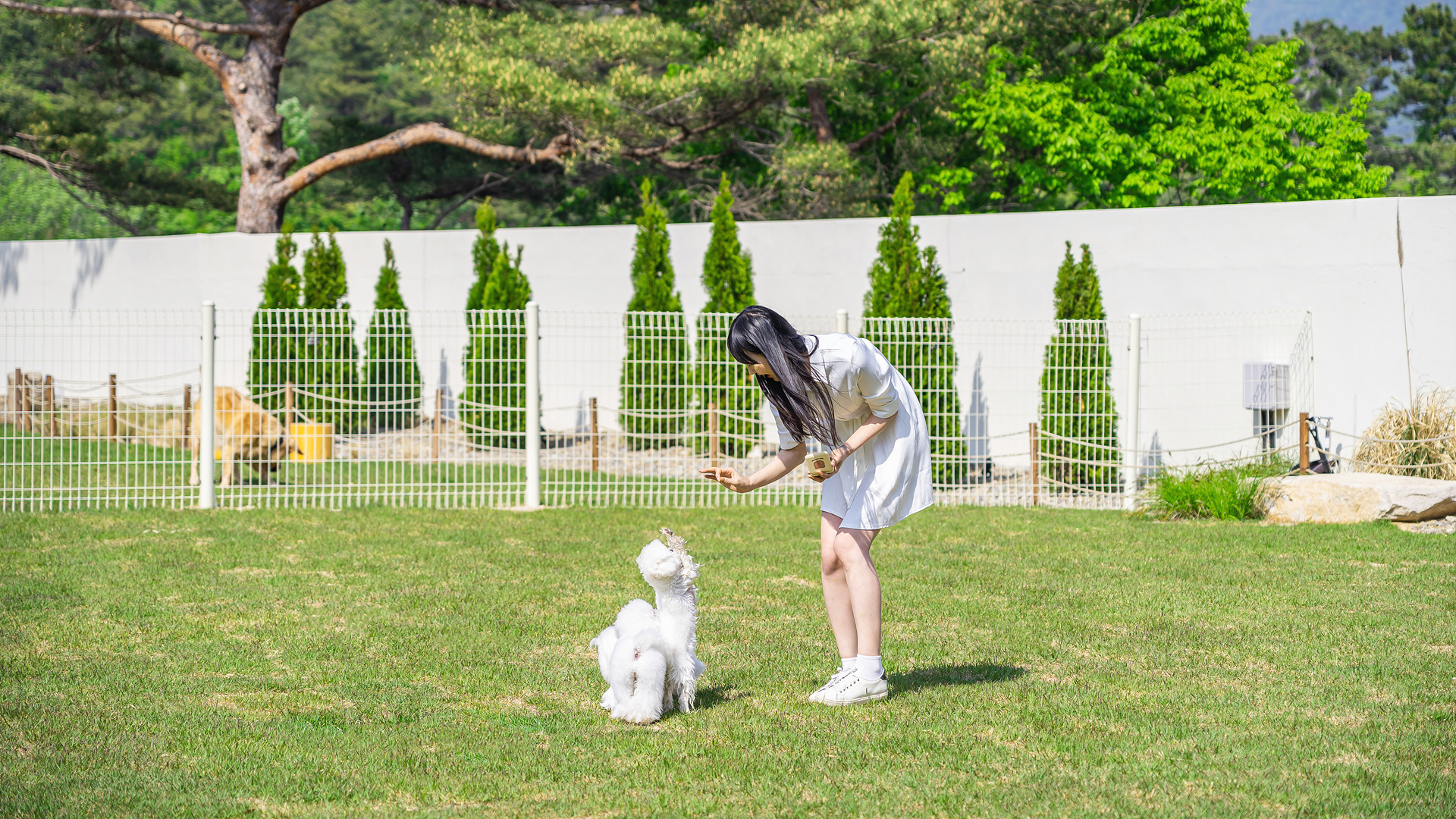 위클라드 대표 이미지