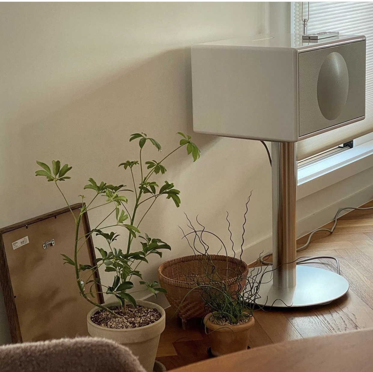 계절의집 대표 이미지