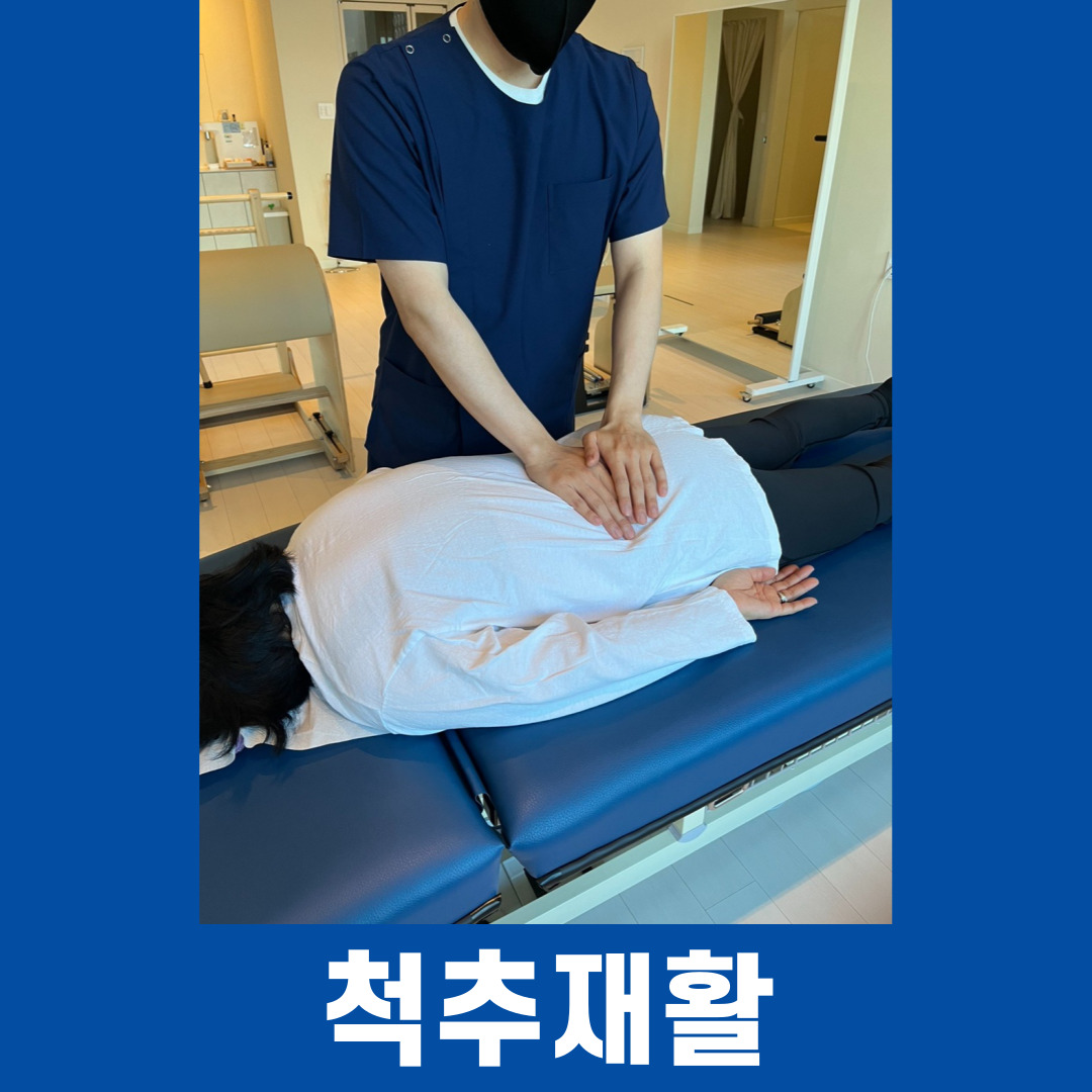 척추순환운동센터 천안점 대표 이미지