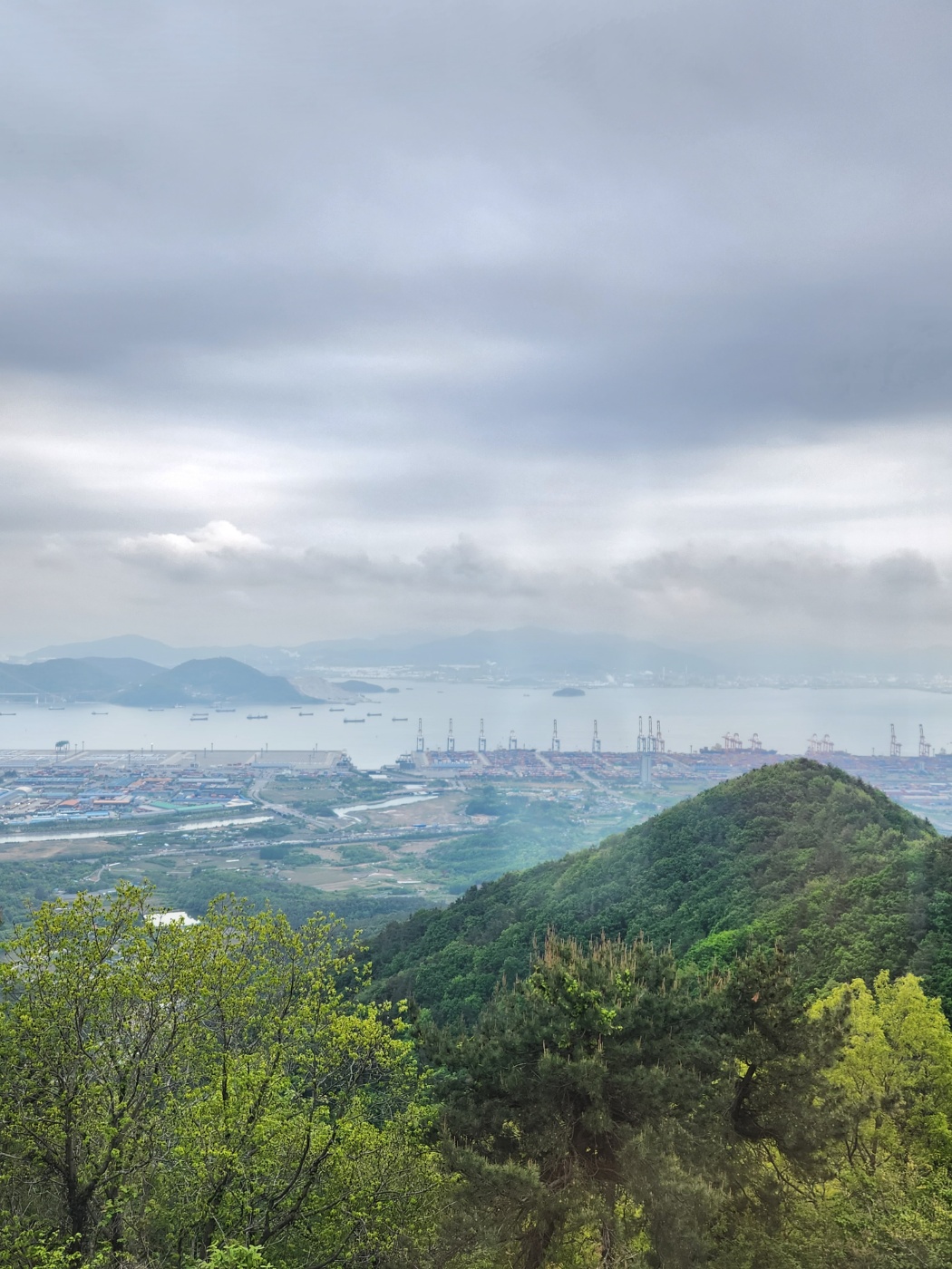 구봉산전망대카페