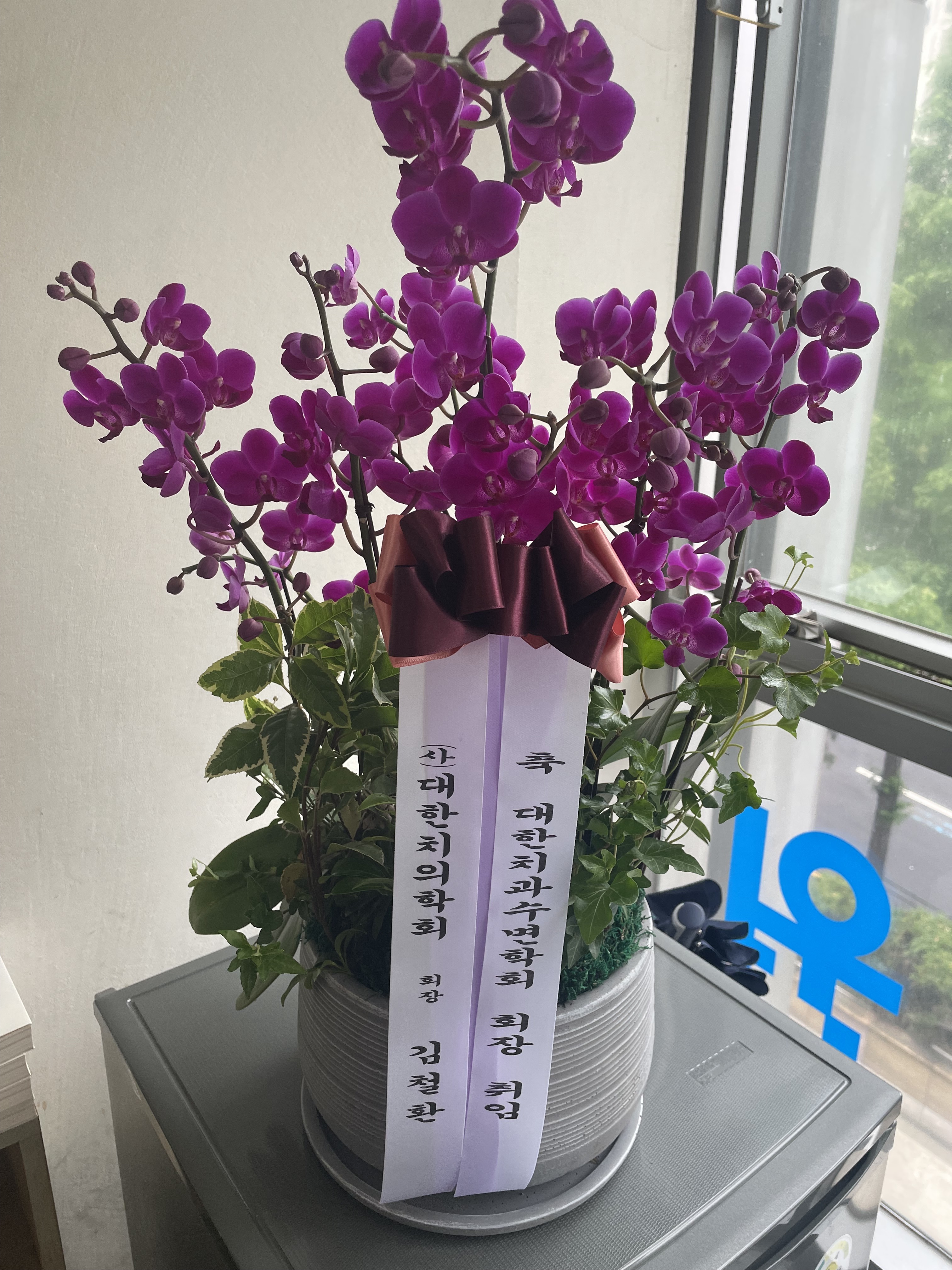 일리노이치과 대표 이미지