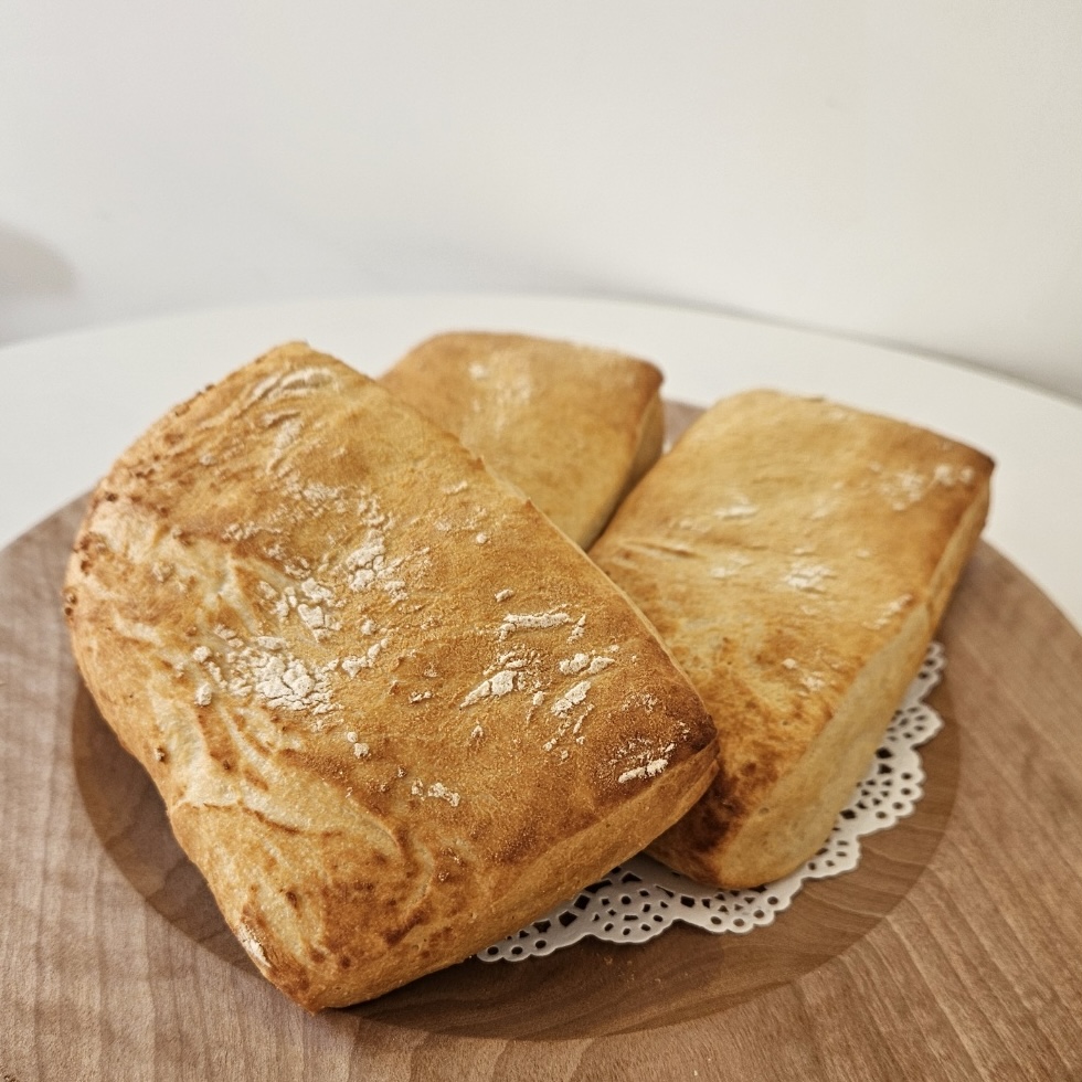 하이드벗 부산 애견맛집